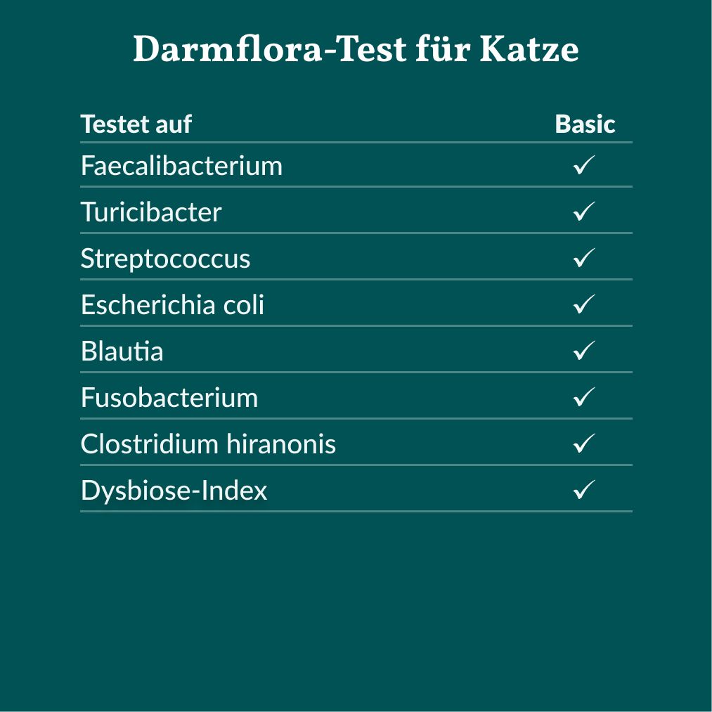 Tabelle zeigt, welche Bakterien im Darmflora-Test für Katzen analysiert werden.