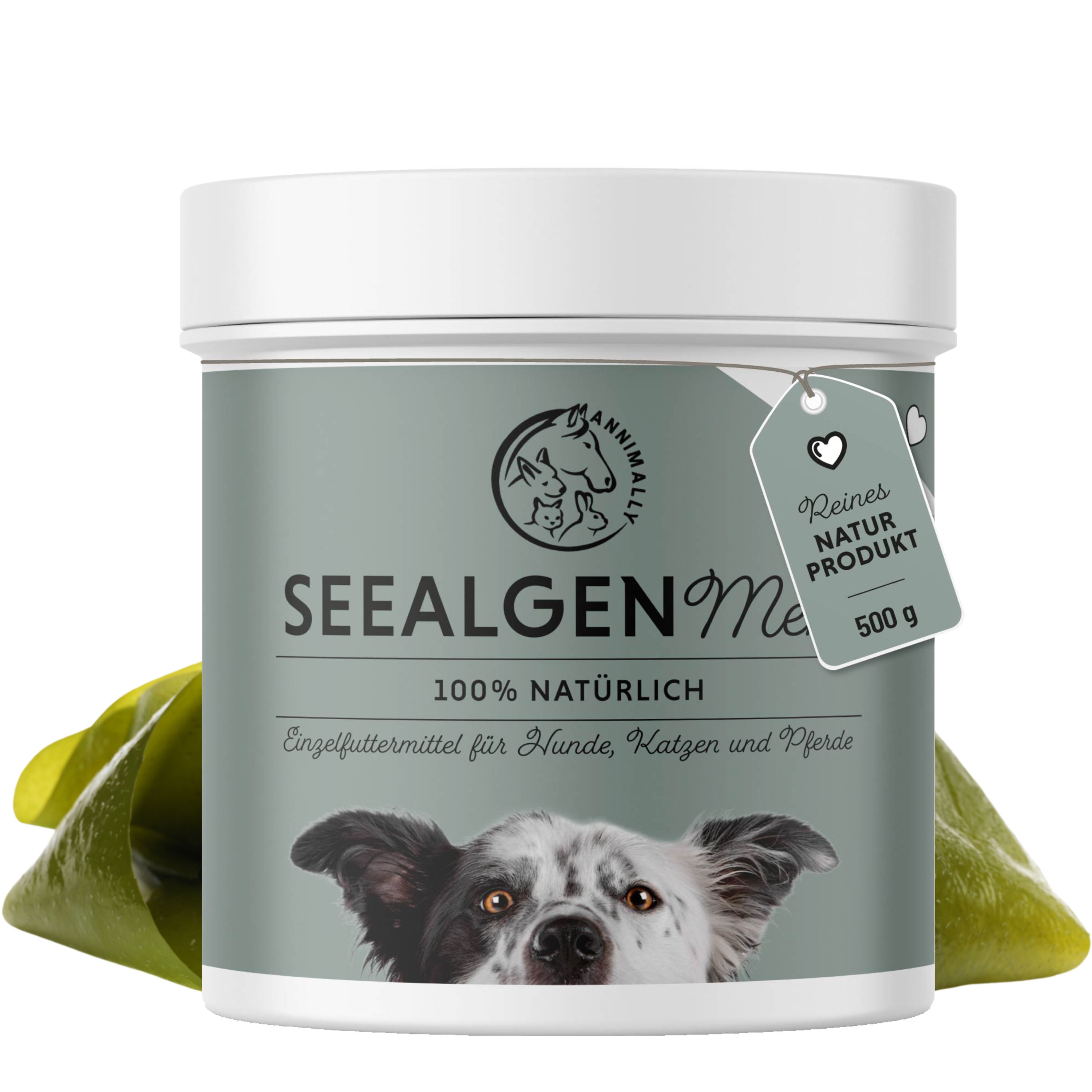 Weißer Behälter mit grünem Etikett. Aufschrift: Seealgenmehl, 100% natürlich. Einzel-Futtermittel für Hunde, Katzen und Pferde. Anhänger: Reines Natur Produkt, 500g.