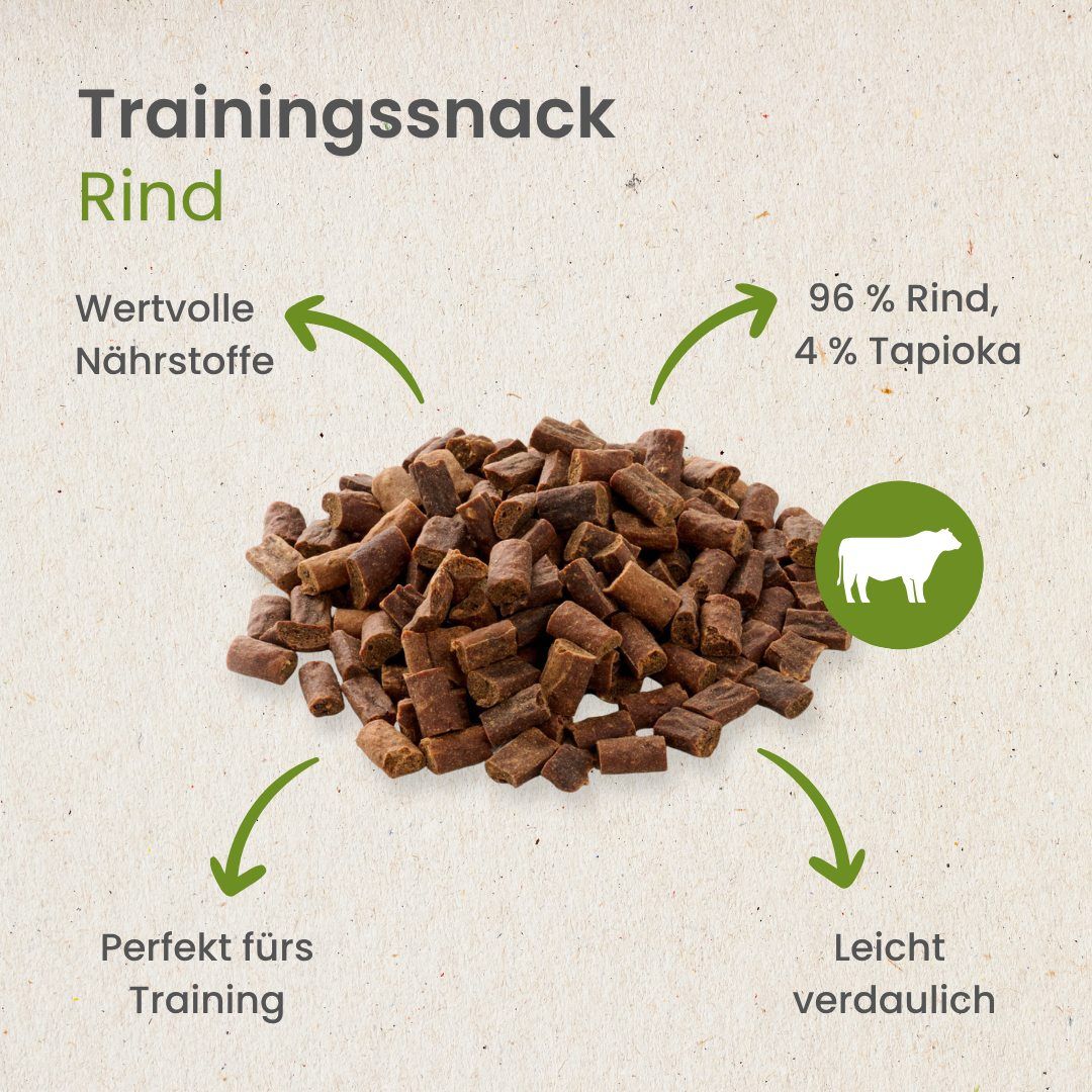 Ein Hund wird von einem Menschen mit einem Leckerli gefüttert.