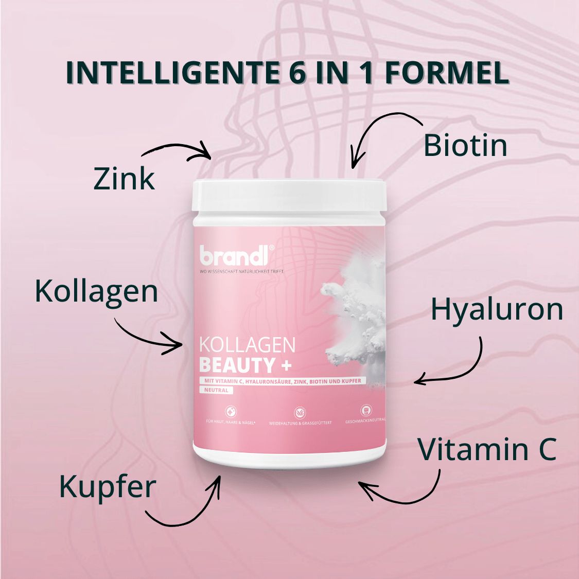 Kollagen Beauty + Deine 6-in-1 Formel für Haut, Haare & Nägel