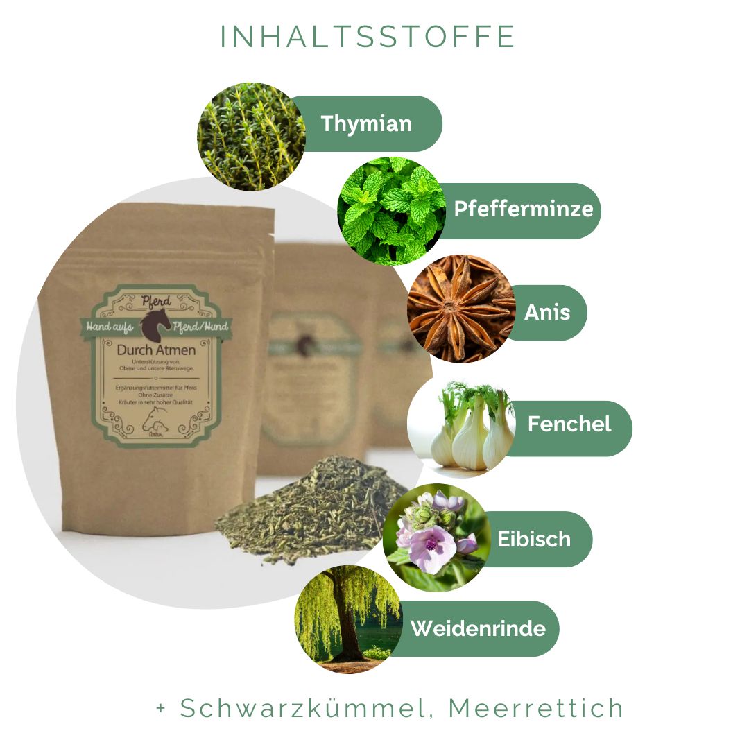 Beutel mit Kräutern und loser Kräuterhaufen. Grafische Darstellung von Kräutern: Thymian, Pfefferminze, Anis, Fenchel, Eibisch, Weidenrinde.