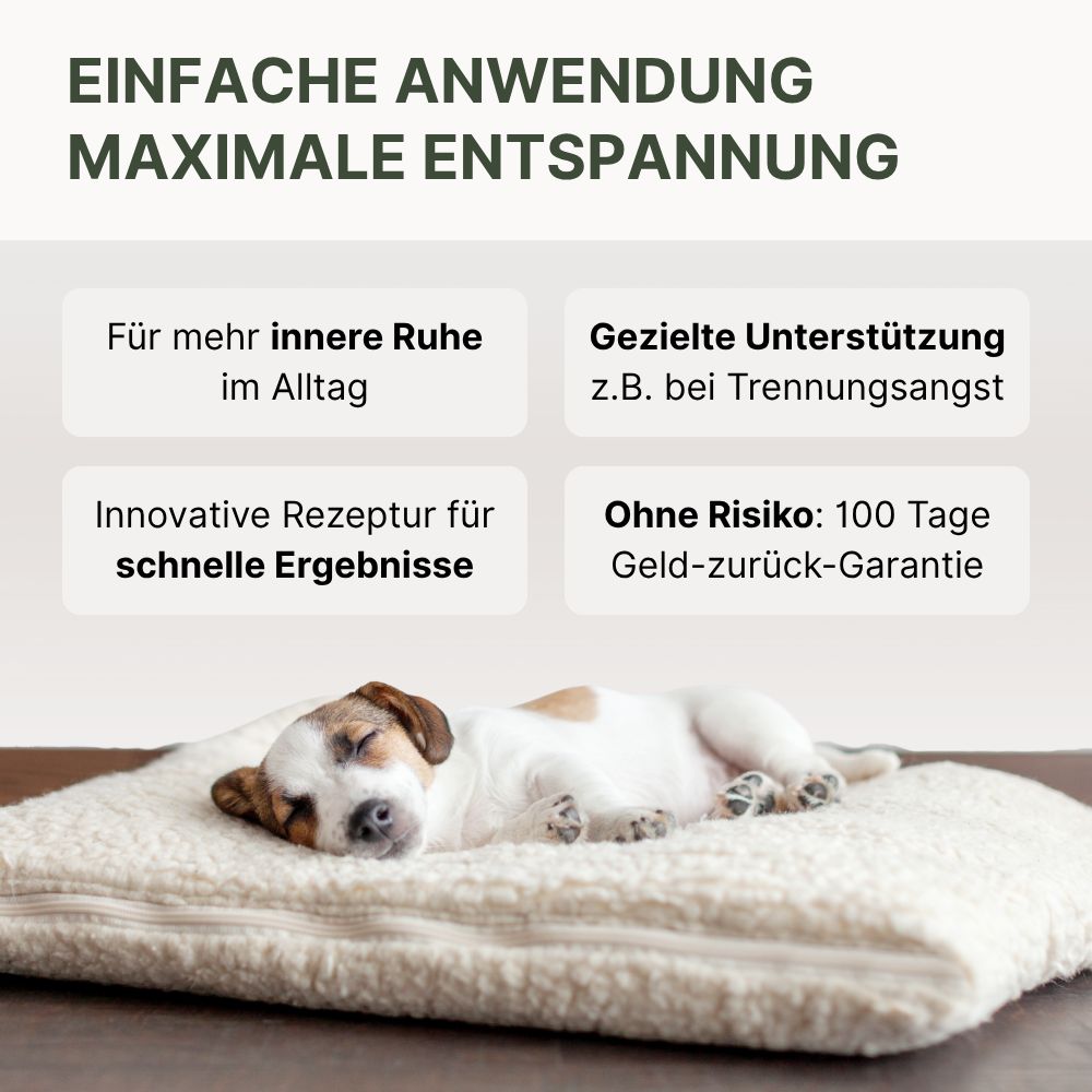 DOG1 Relax Snack für Hunde