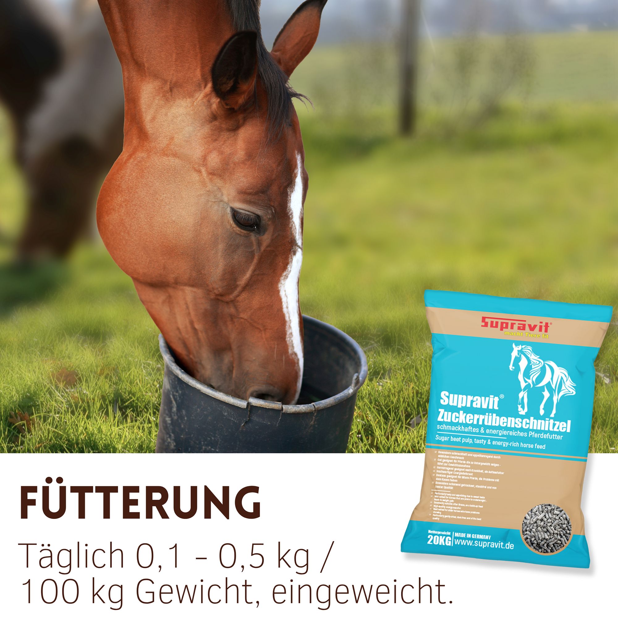 Pferd trinkt aus Eimer neben Futtersack. Aufschrift: Supravit Zuckerrübenschnitzel. Text: Fütterung, täglich 0,1 - 0,5 kg / 100 kg Gewicht, eingeweicht.