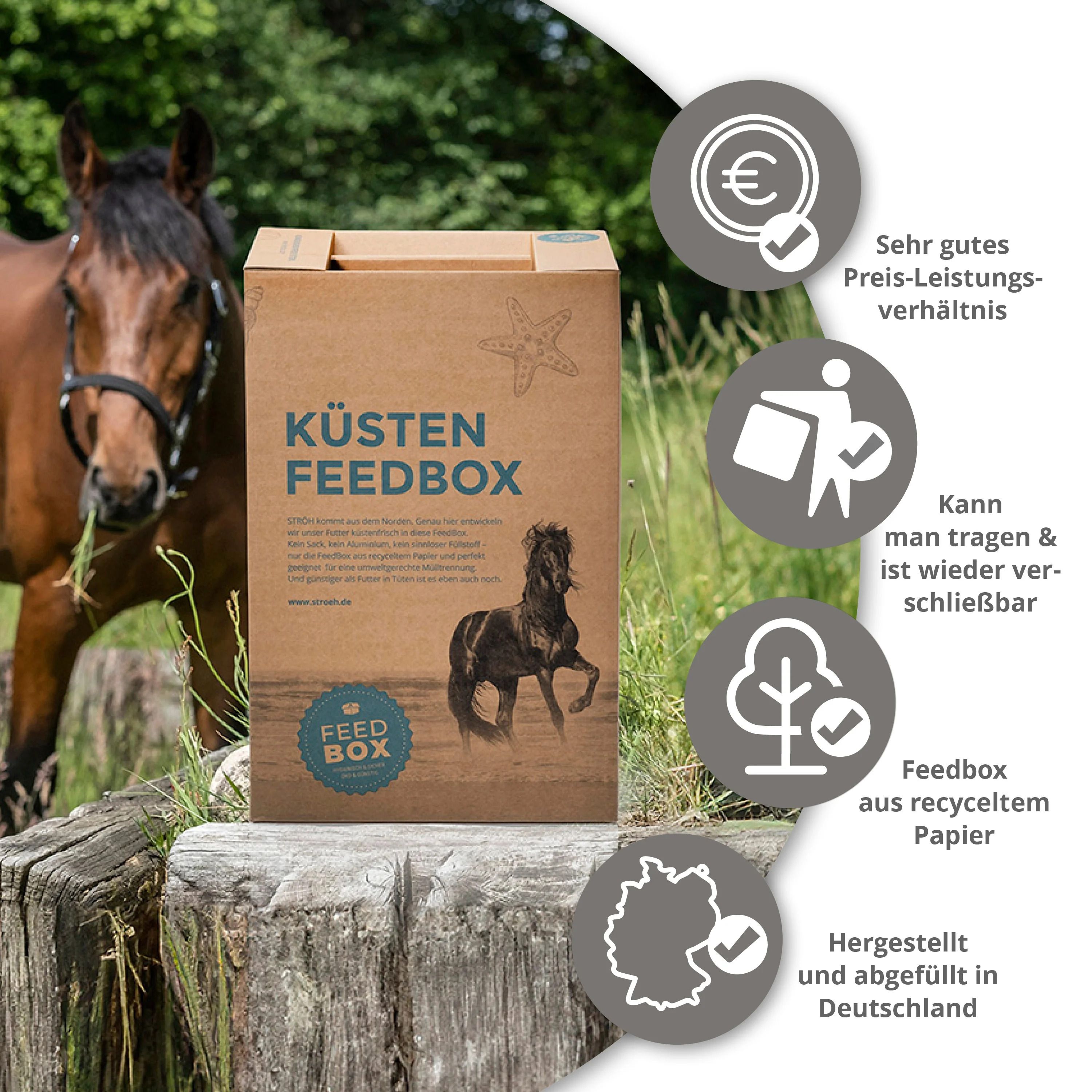 Karton "Küsten Feedbox Magenruhe" auf Holzstumpf. Grafiken: Preis-Leistungs-Verhältnis, wiederverschließbar, recyceltes Papier, hergestellt in Deutschland.