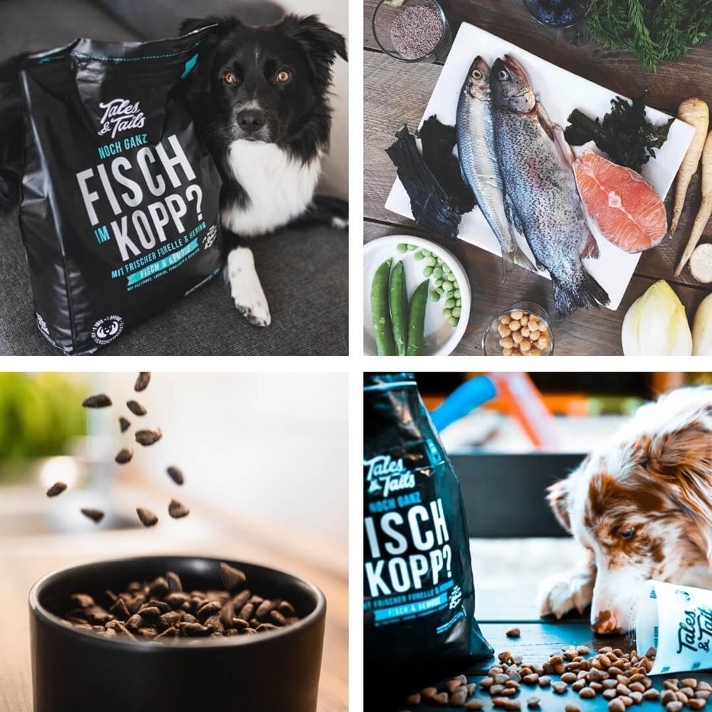 Tales & Tails Noch ganz Fisch im Kopp?! - Softes Trockenfutter mit Fisch