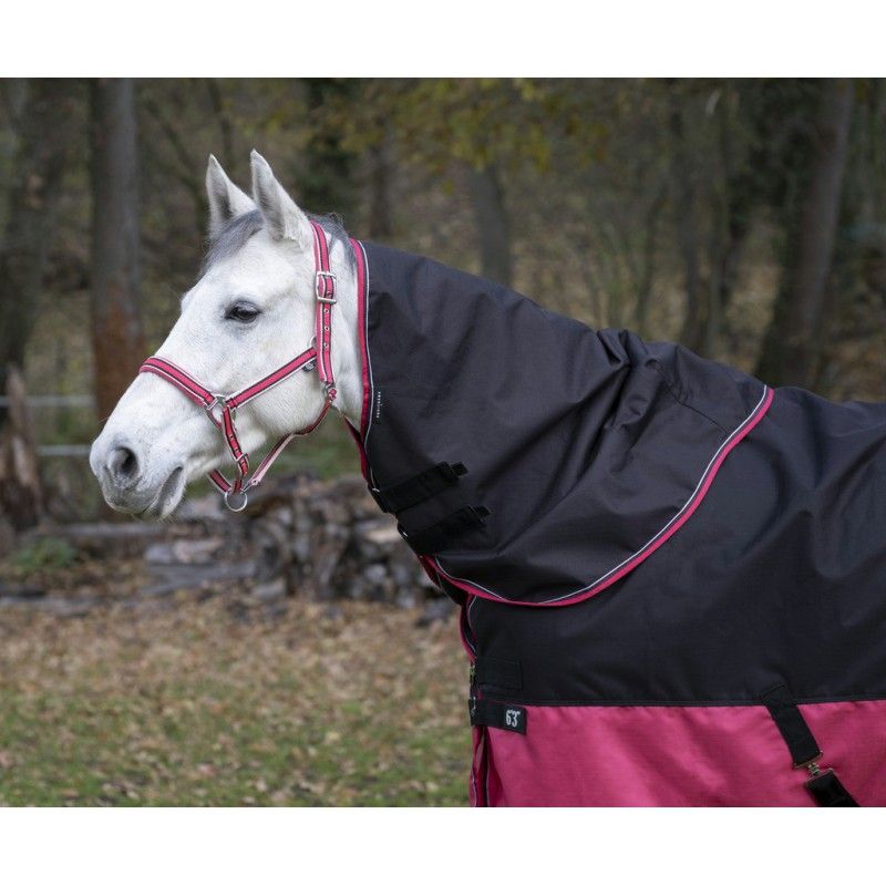 Pferdehalsteil, schwarz mit pinkfarbenem Saum. Das Halsteil bedeckt den Hals des Pferdes. Riemen und Schnallen sind sichtbar.