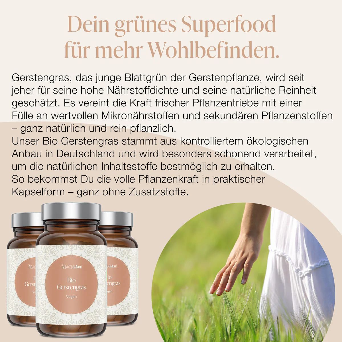 Bio Gerstengras Kapseln - 1500 mg pro Tagesdosis, 300 Kapseln, vegan - BACKLAxx®
