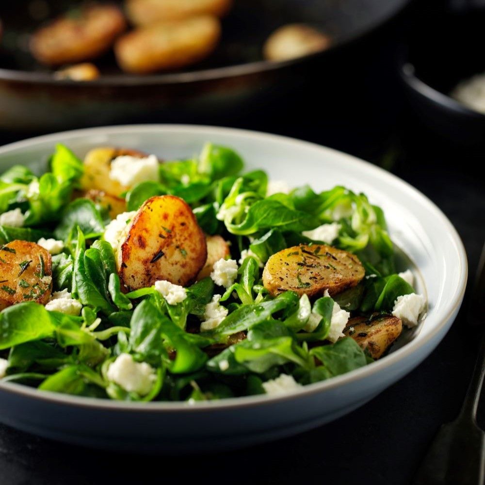 Salat mit Kartoffeln, Käse und Blattsalat in einer weißen Schüssel. Schwarzer Hintergrund.