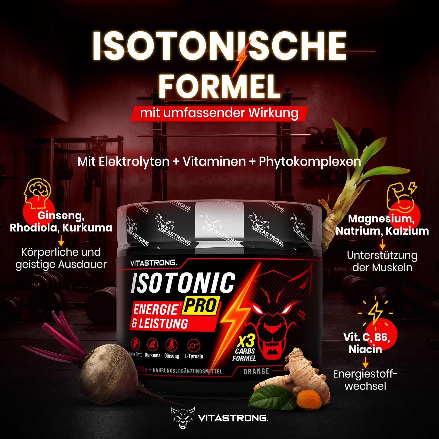 Produkt-Dose. Text: Isotonic Pro, Energie & Leistung. Mit Elektrolyten, Vitaminen, Phytokomplexen. Orange.