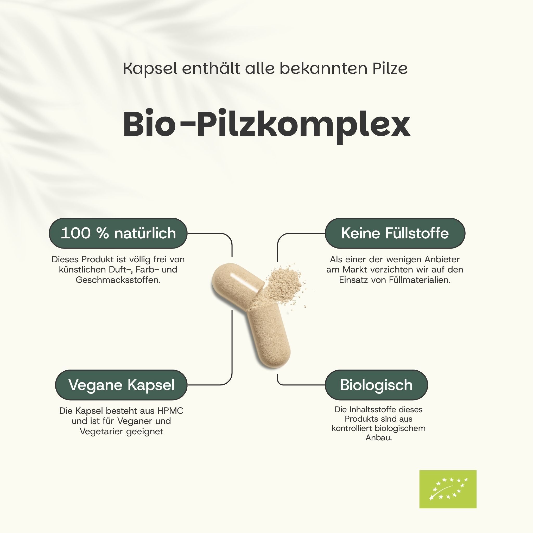 Eine Kapsel eines Bio-Pilzkomplexes, die 100% natürlich ist und keine Füllstoffe enthält. Vegane Kapsel aus HPMC.