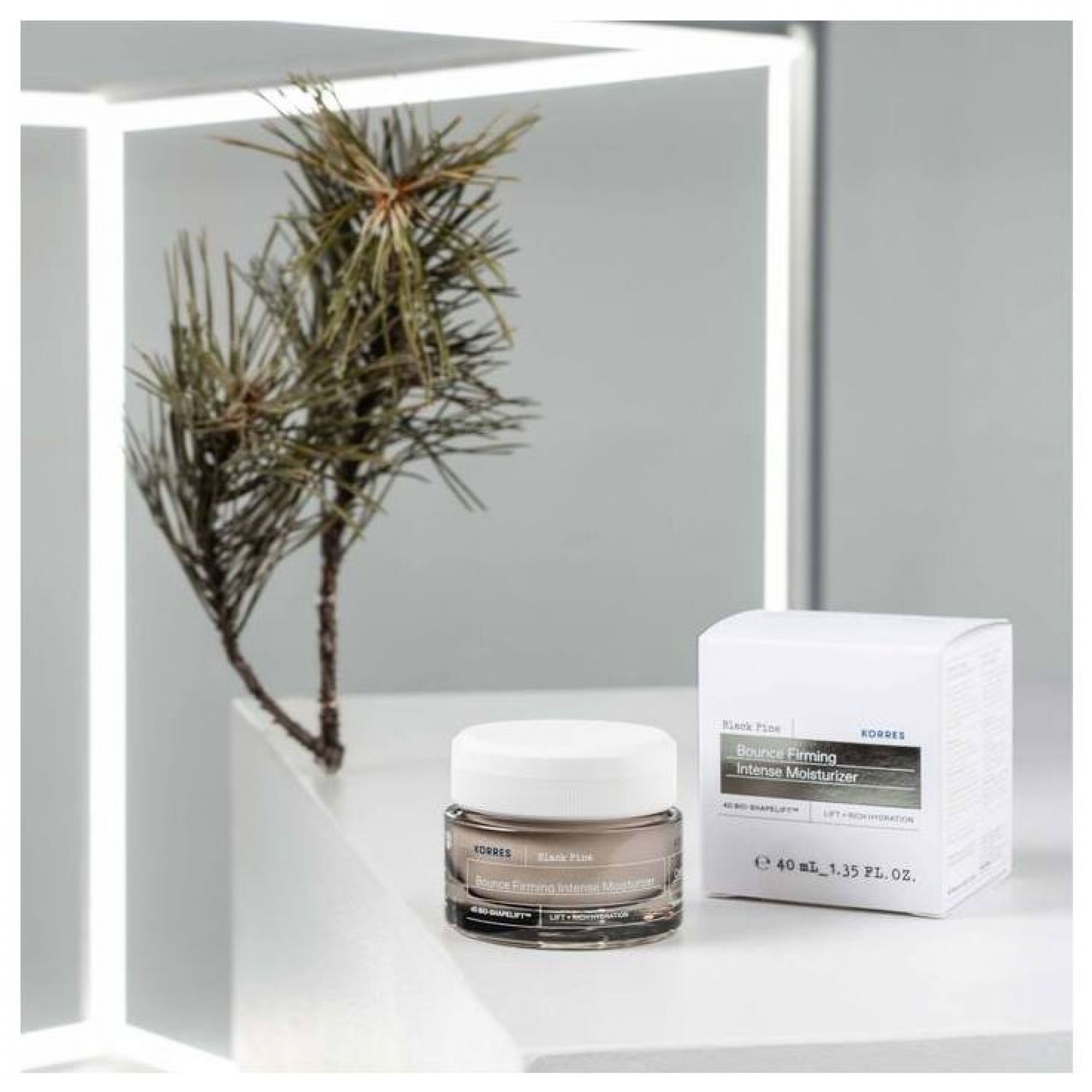 Korres Black Pine Bounce Firming Intense Moisturizer Tiegel und Karton neben Pinienzapfen.