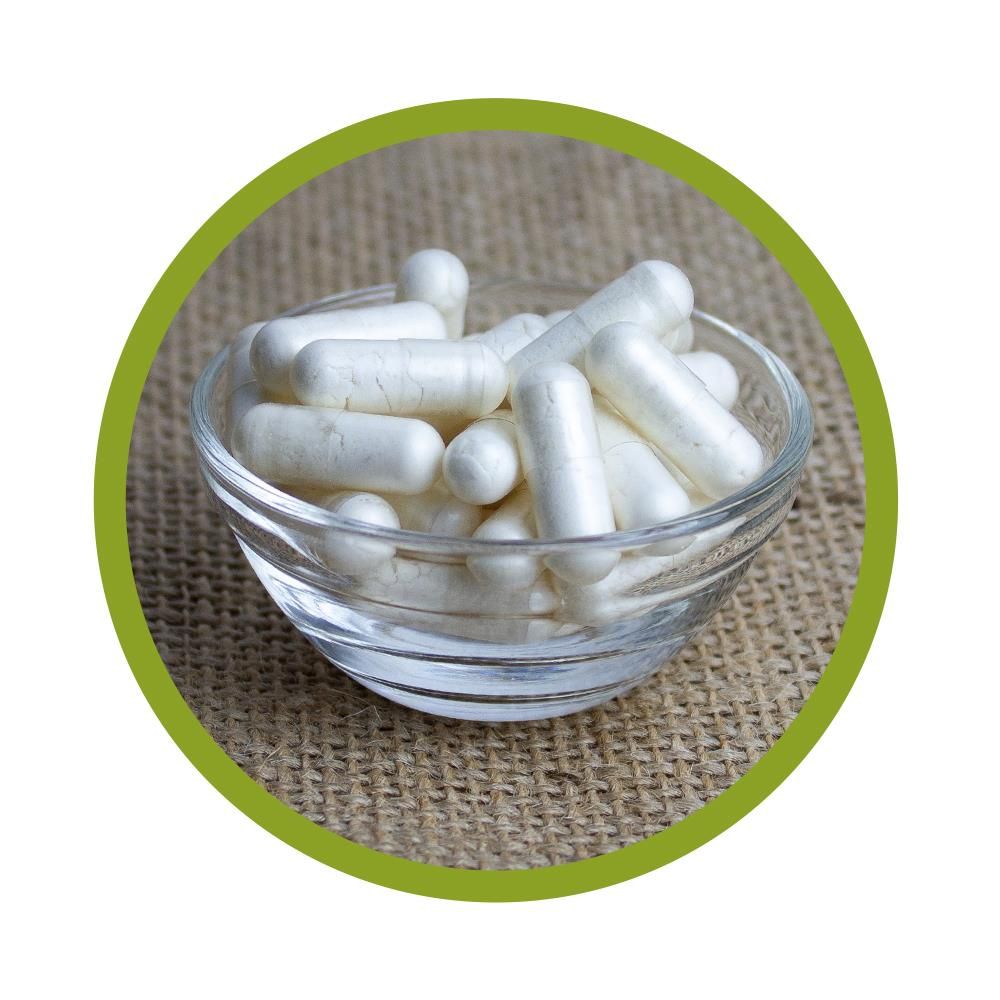 vitalundfitmit100® Pro B10-Kulturen Kapseln