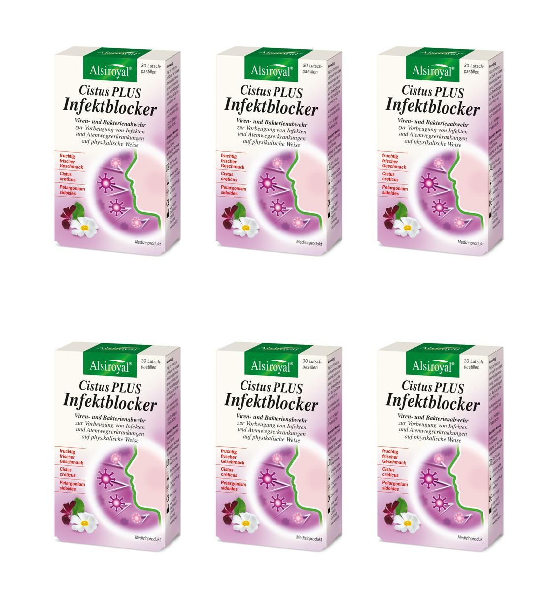 Sechs Schachteln Alsiroyal Cistus PLUS Infektblocker. Jede Schachtel zeigt Produktname, Logo und Illustration.