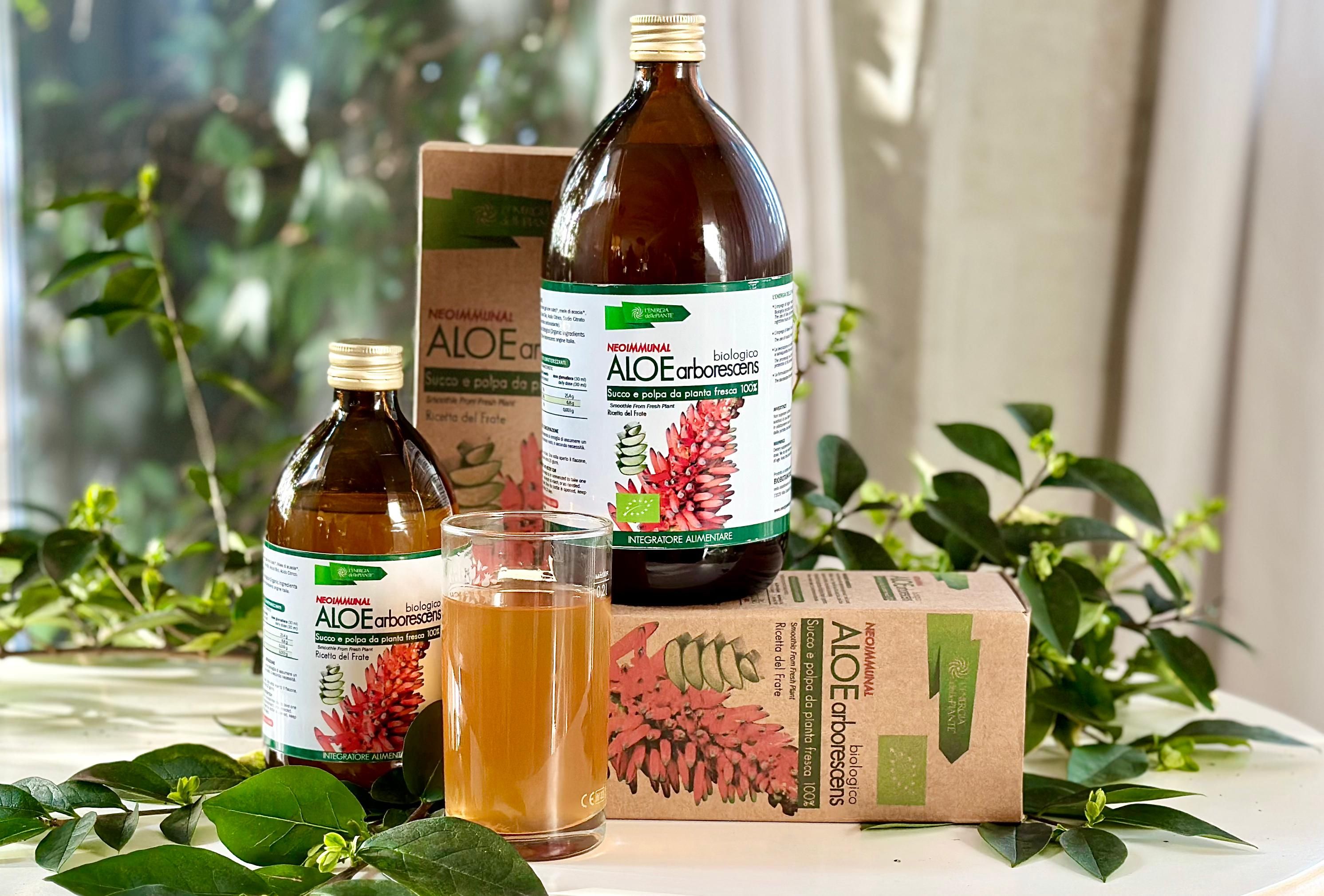 L'Energia delle Piante Aloe Arborescens Rezept von Pater Romano Zago