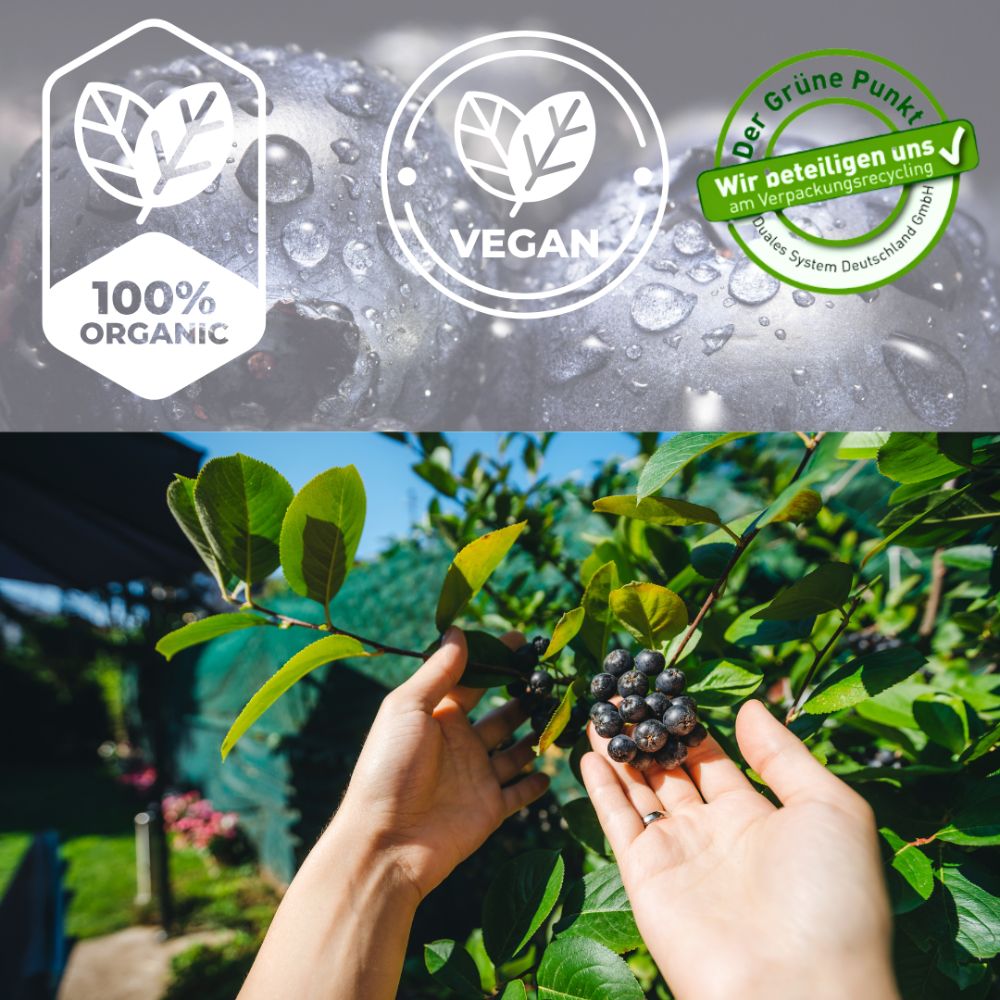 Linecase Bio Fruchtriegel probier Mix