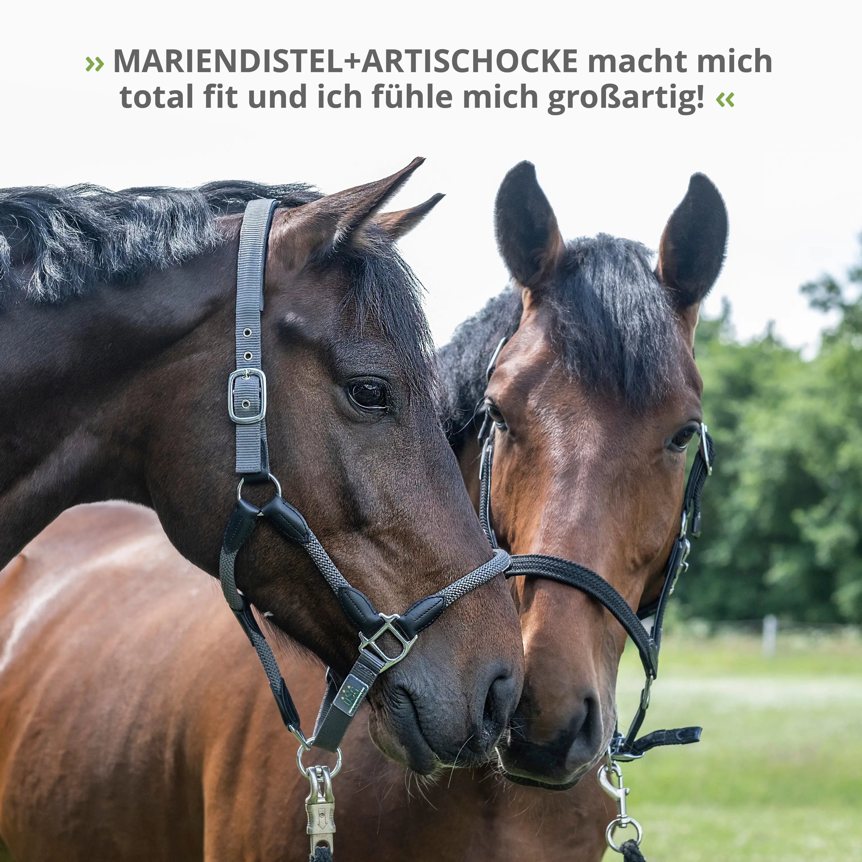 STRÖH - Mariendistel & Artischocke flüssig