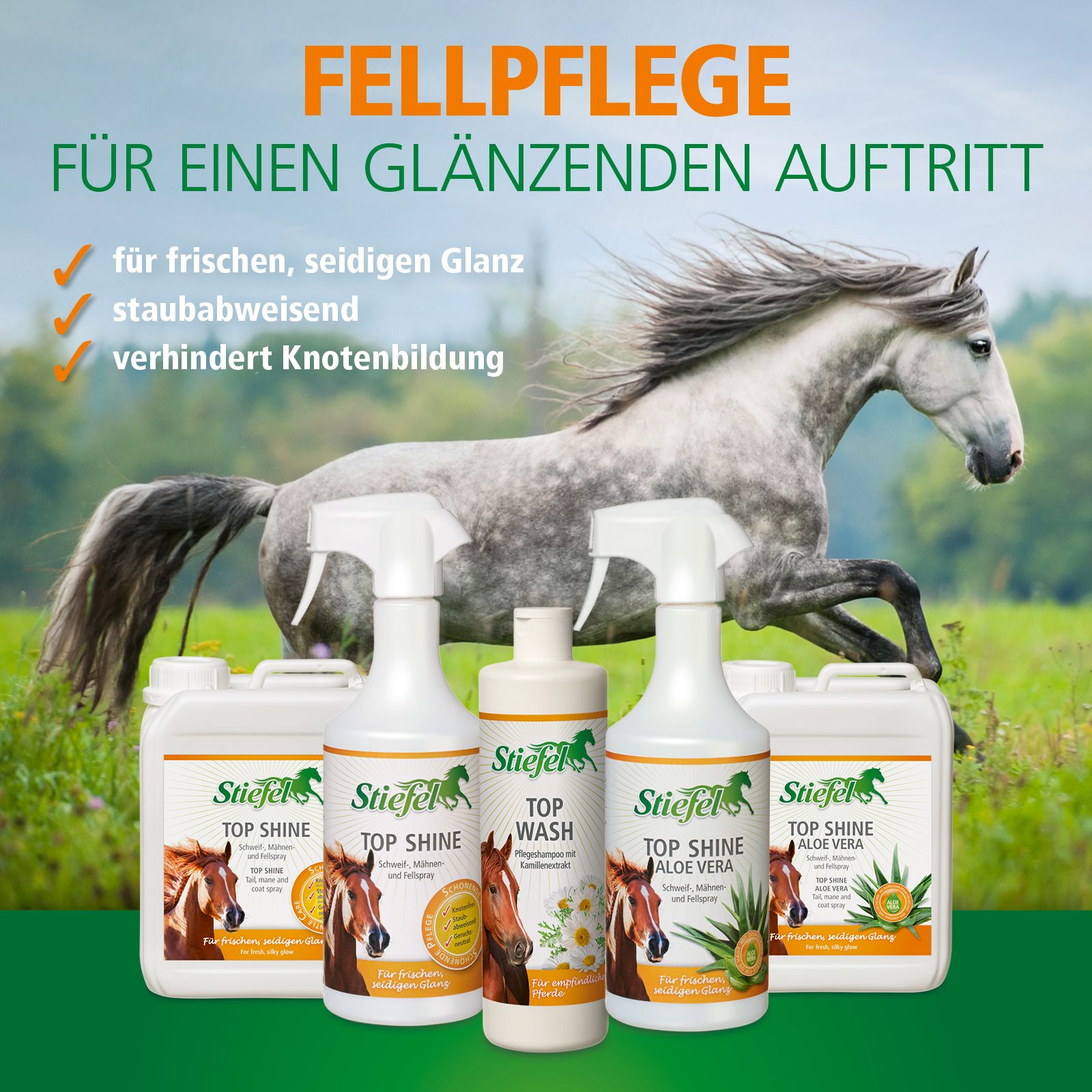 Produktreihe von Stiefel. Enthält Top Wash und Top Shine Produkte. Mit Pferd im Hintergrund und Produktnamen.