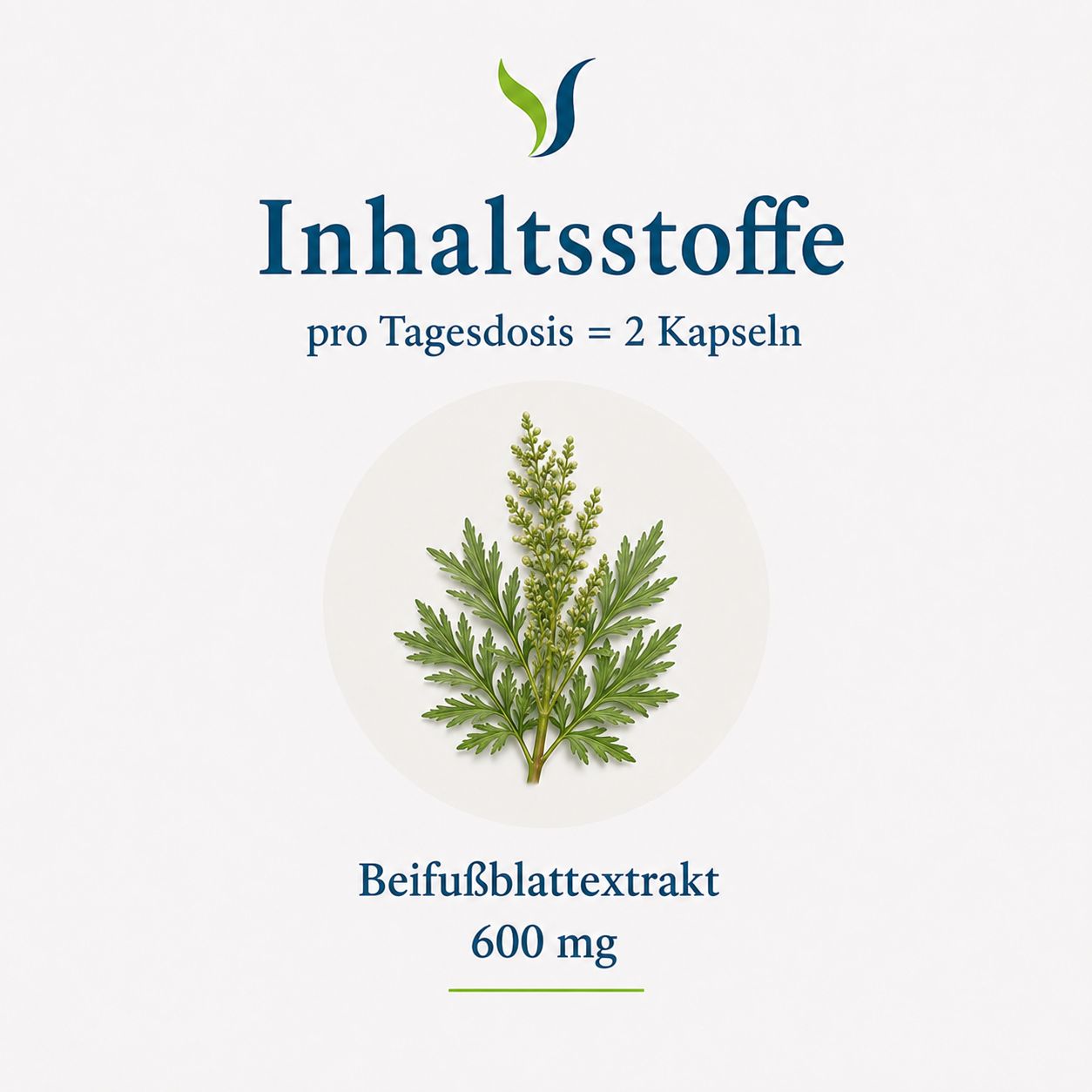 Inhaltsstoffe: Beifußblatt-Extrakt 600 mg pro Tagesdosis von 2 Kapseln.