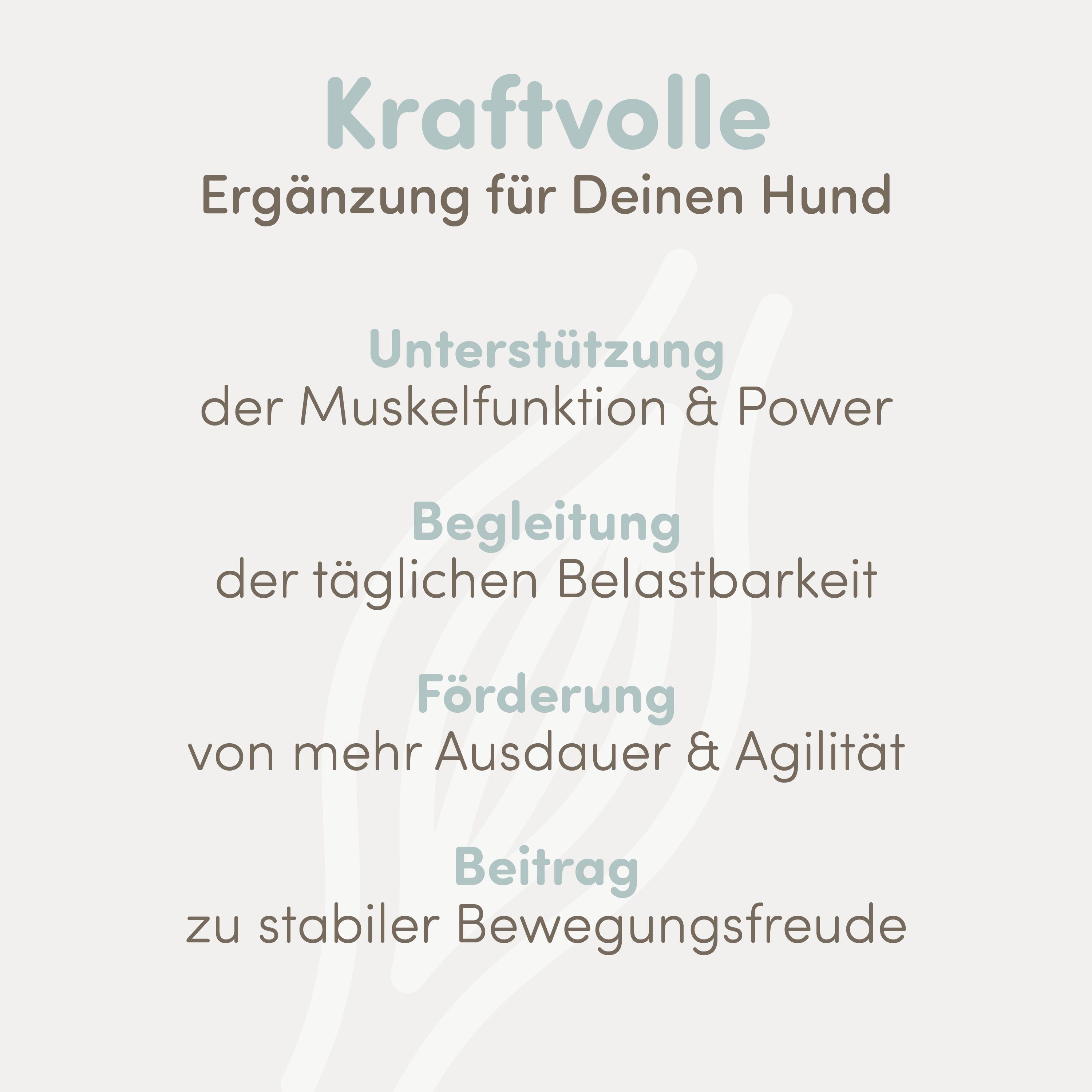 happycor® Mighty Move für Muskulatur, Kondition und Stabilität, natürlicher Funktionssnack