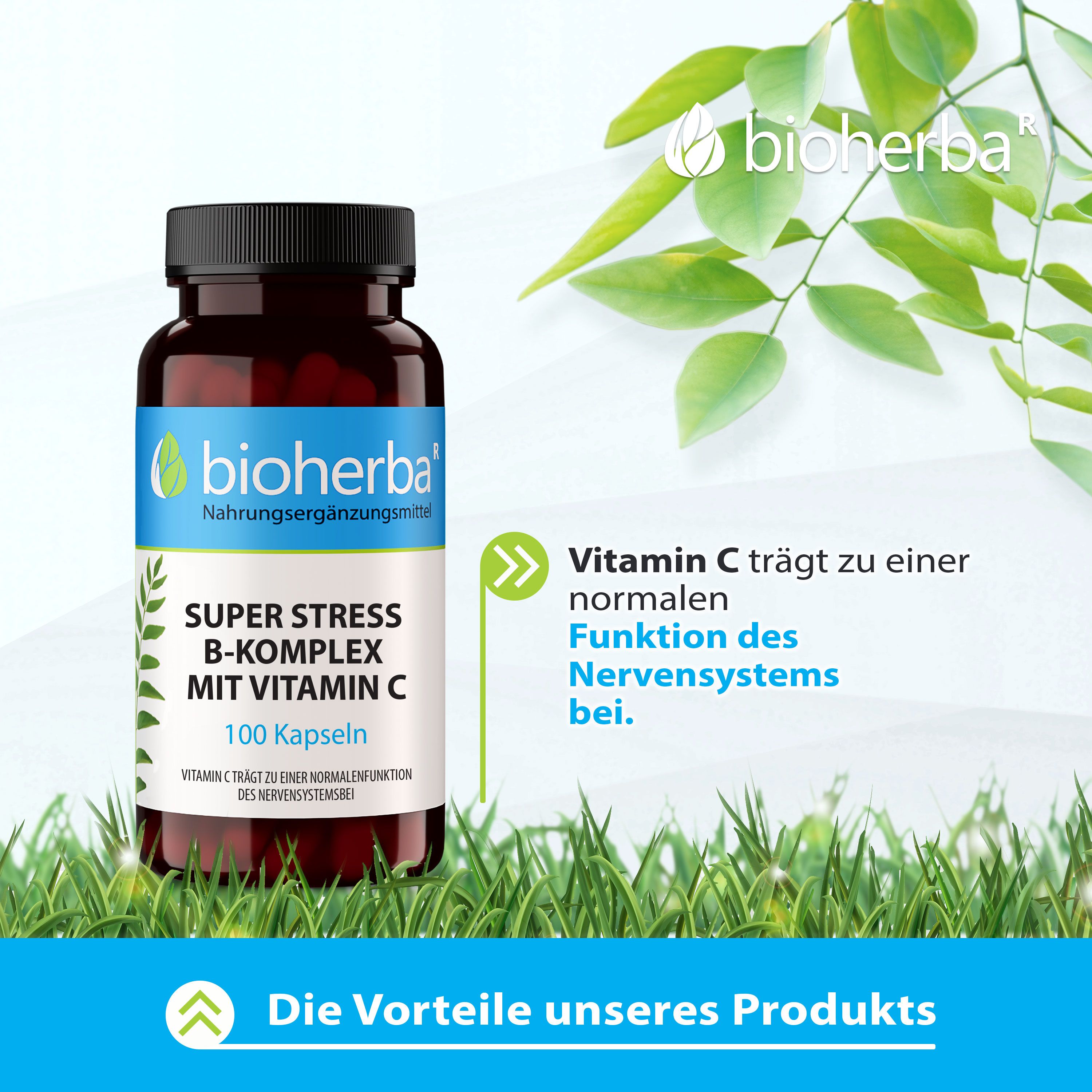 Bioherba Super Stress B-Komplex Mit Vitamin C 100 Kapseln