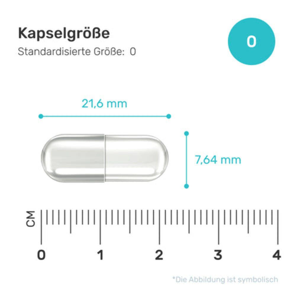 Transparente Kapsel, 21,6 mm lang und 7,64 mm breit. Standardgröße 0.