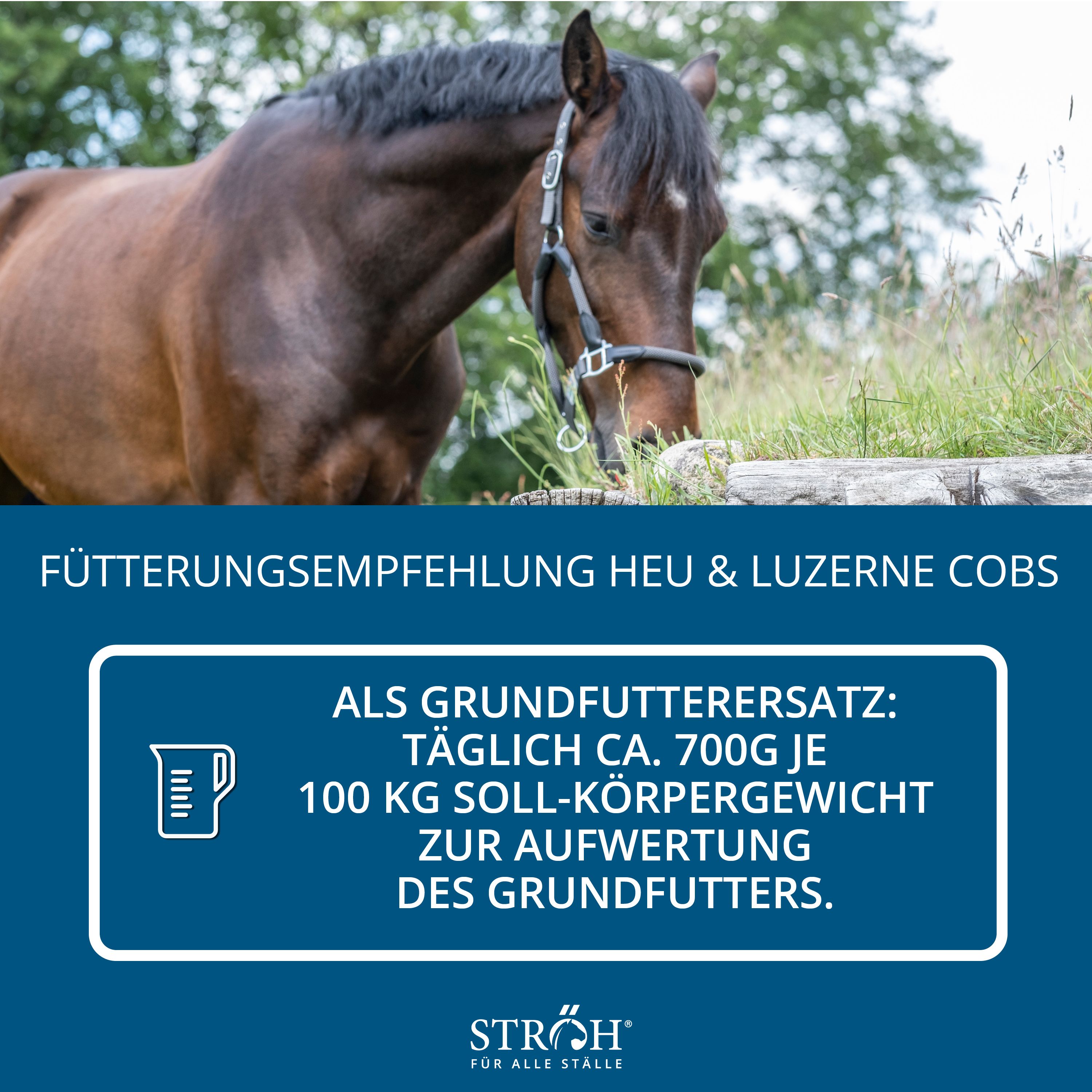 Text mit Fütterungsempfehlung für Heu & Luzerne Cobs. Grafik mit Messbecher. Logo "STRÖH".