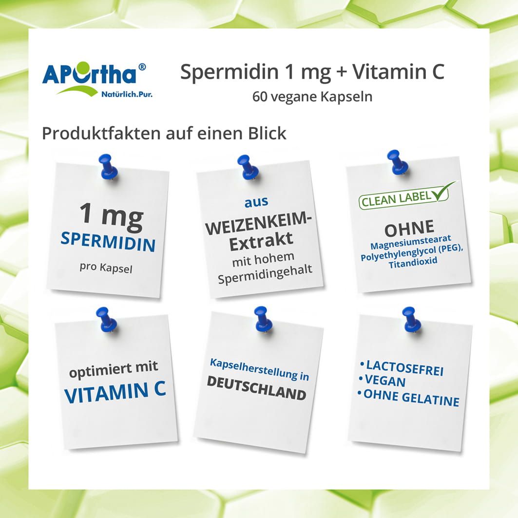 APOrtha® Spermidin Kapseln - 1 mg