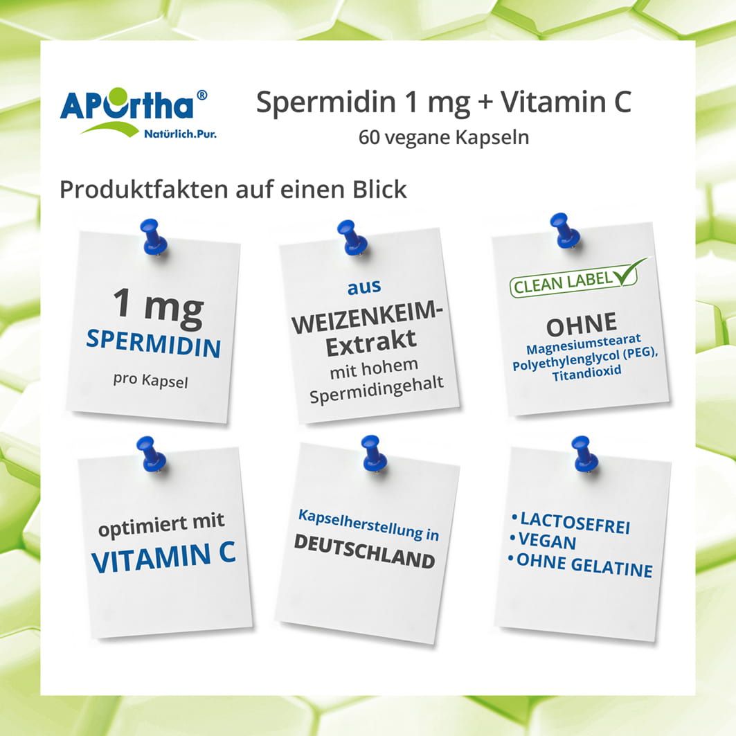 APOrtha® Spermidin Kapseln - 1 mg 60 St