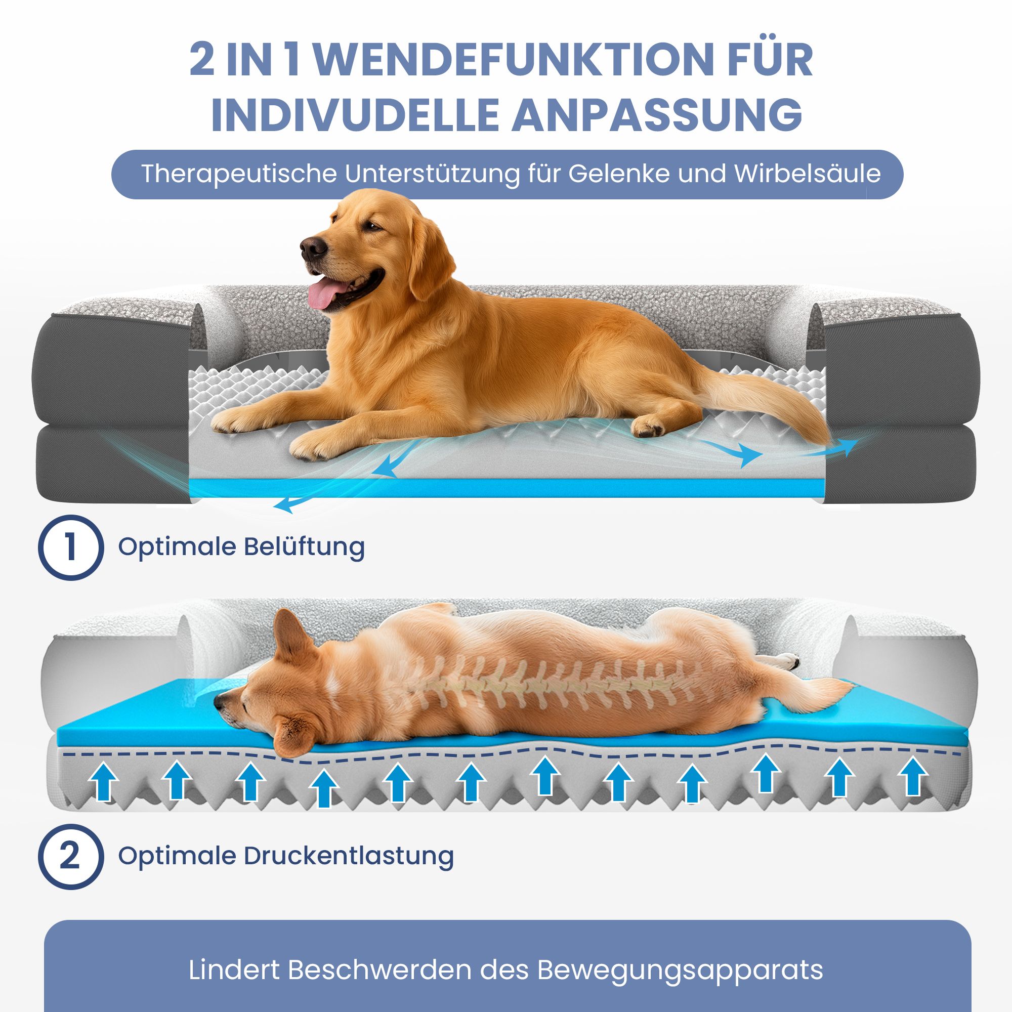 Hundebett mit Wendefunktion. Optimale Belüftung und Druckentlastung. Zwei Hunde liegen auf dem Bett.