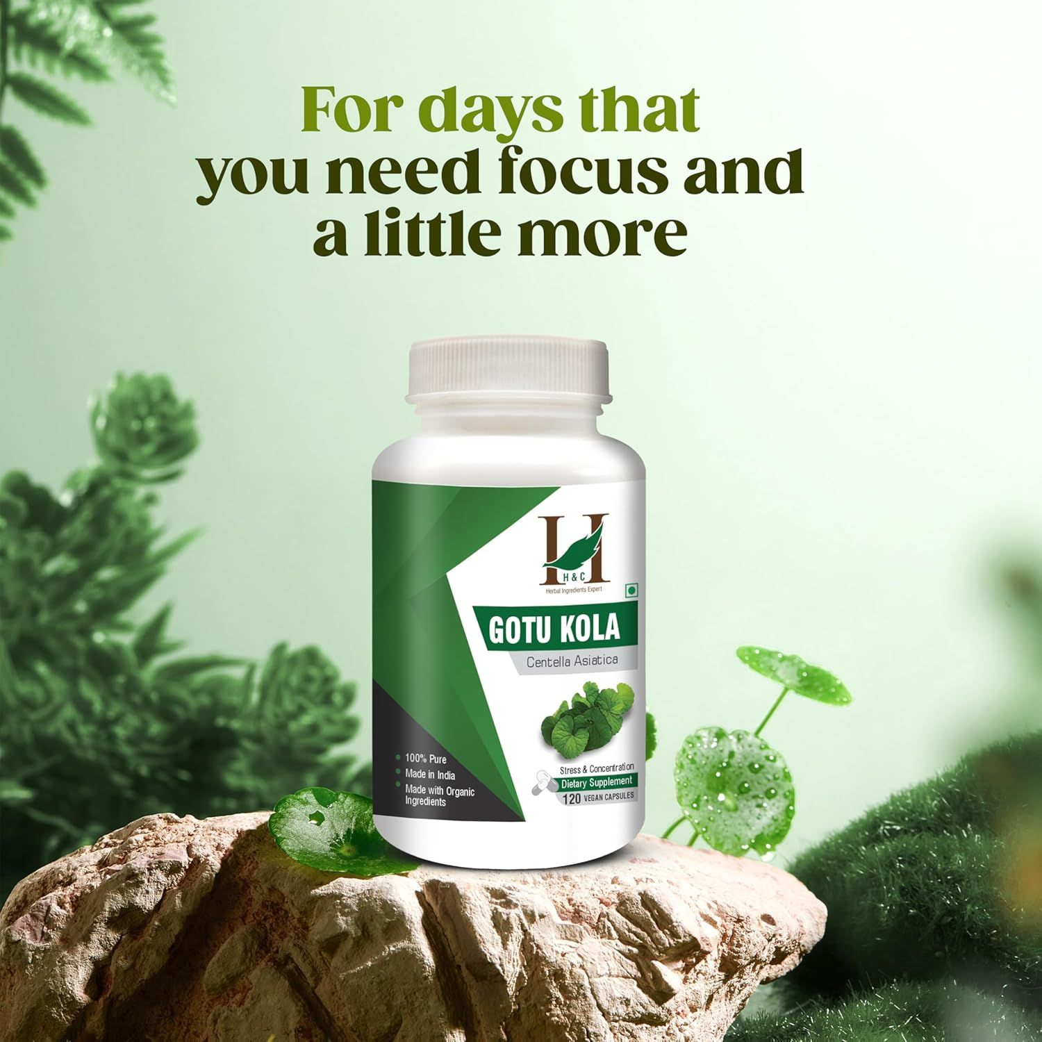 H&C Gotu Kola Kapseln