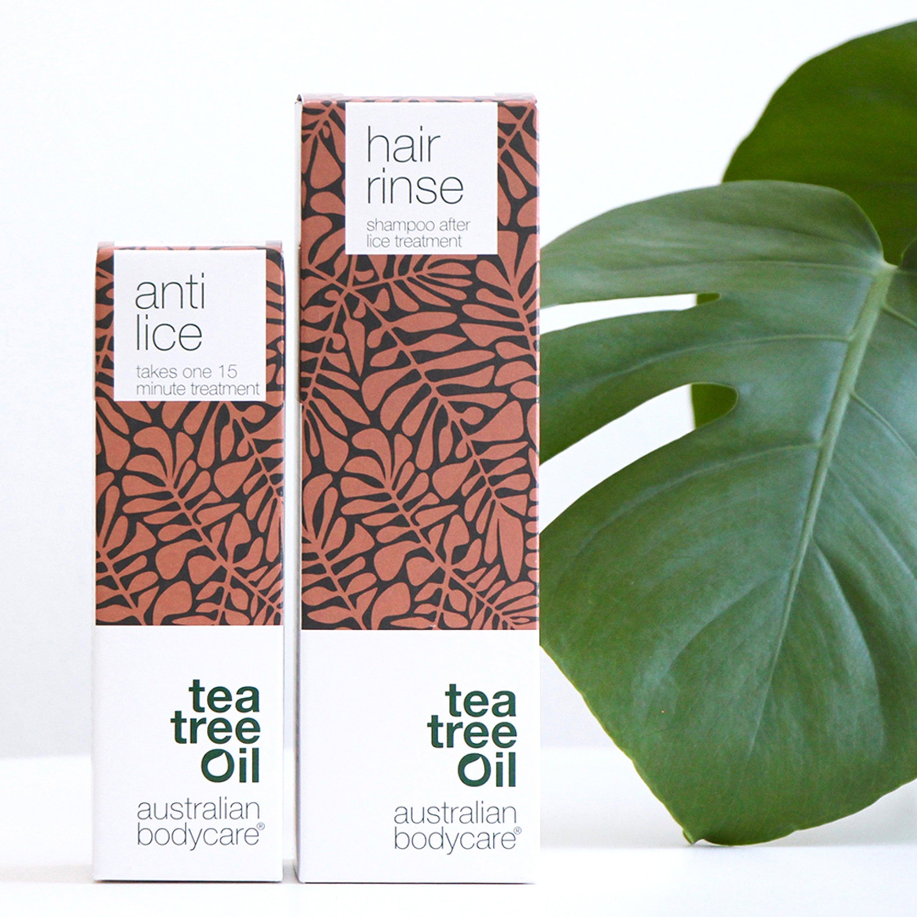 Zwei Schachteln mit braunem Blattmuster. Aufschrift: anti lice, hair rinse, Tea Tree Oil, australian bodycare.
