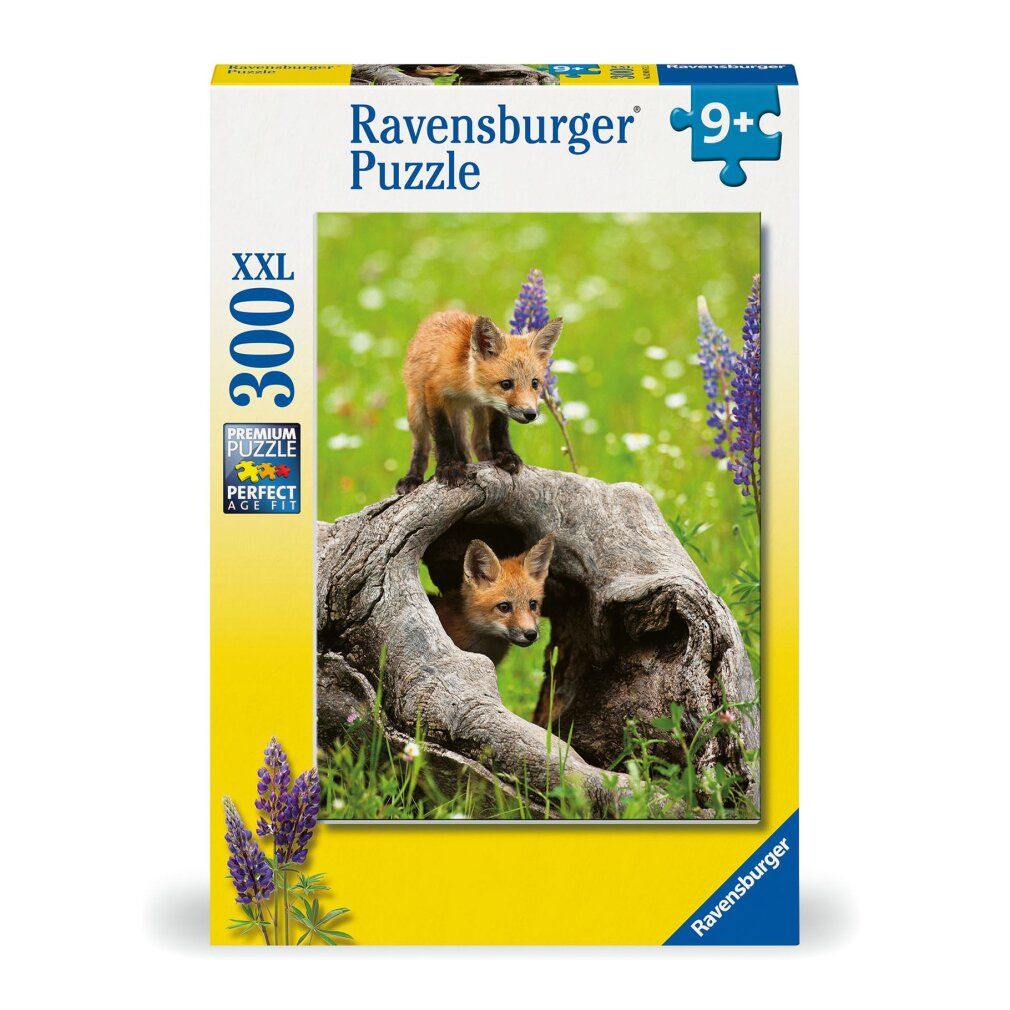 Ravensburger - Puzzle Neugierige füchse 300p