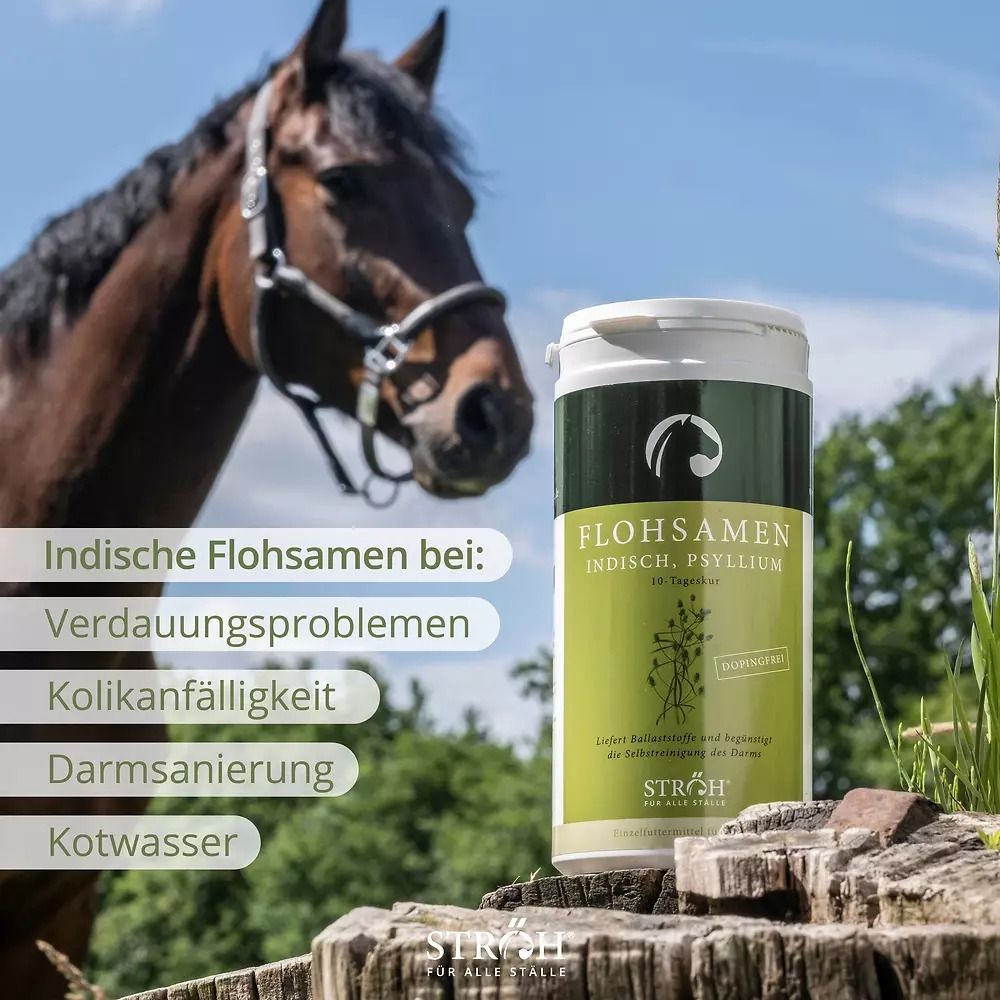 Pferd auf Baumstumpf mit Gefäß mit grünem Etikett. Aufschrift: Flohsamen, indisch, Psyllium. Text: Indische Flohsamen bei: Verdauungsproblemen, etc. Marke: STRÖH.