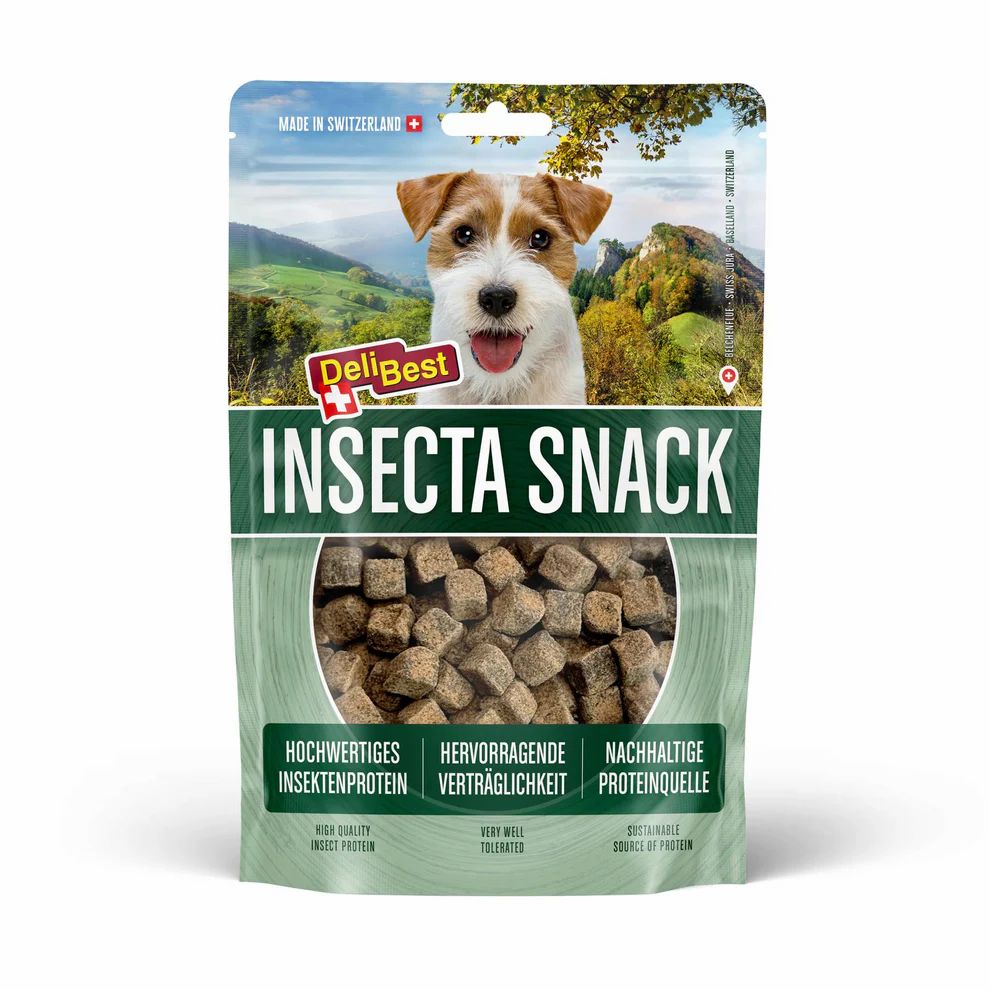 DeliBest Insecta Snack Hund 100 g Futter