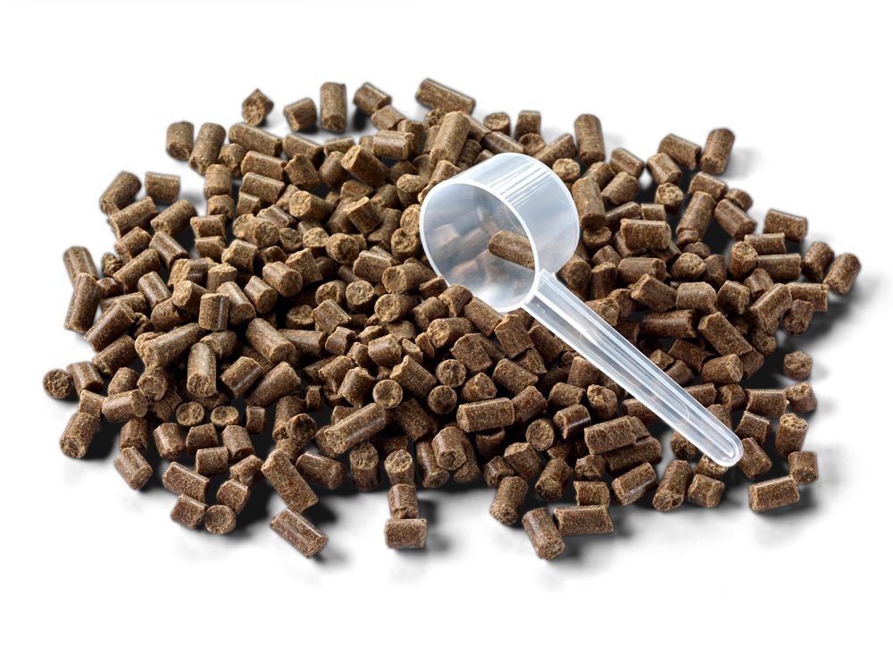 Haufen brauner Pellets mit einem weißen Messlöffel. Pellets sind zylindrisch geformt.
