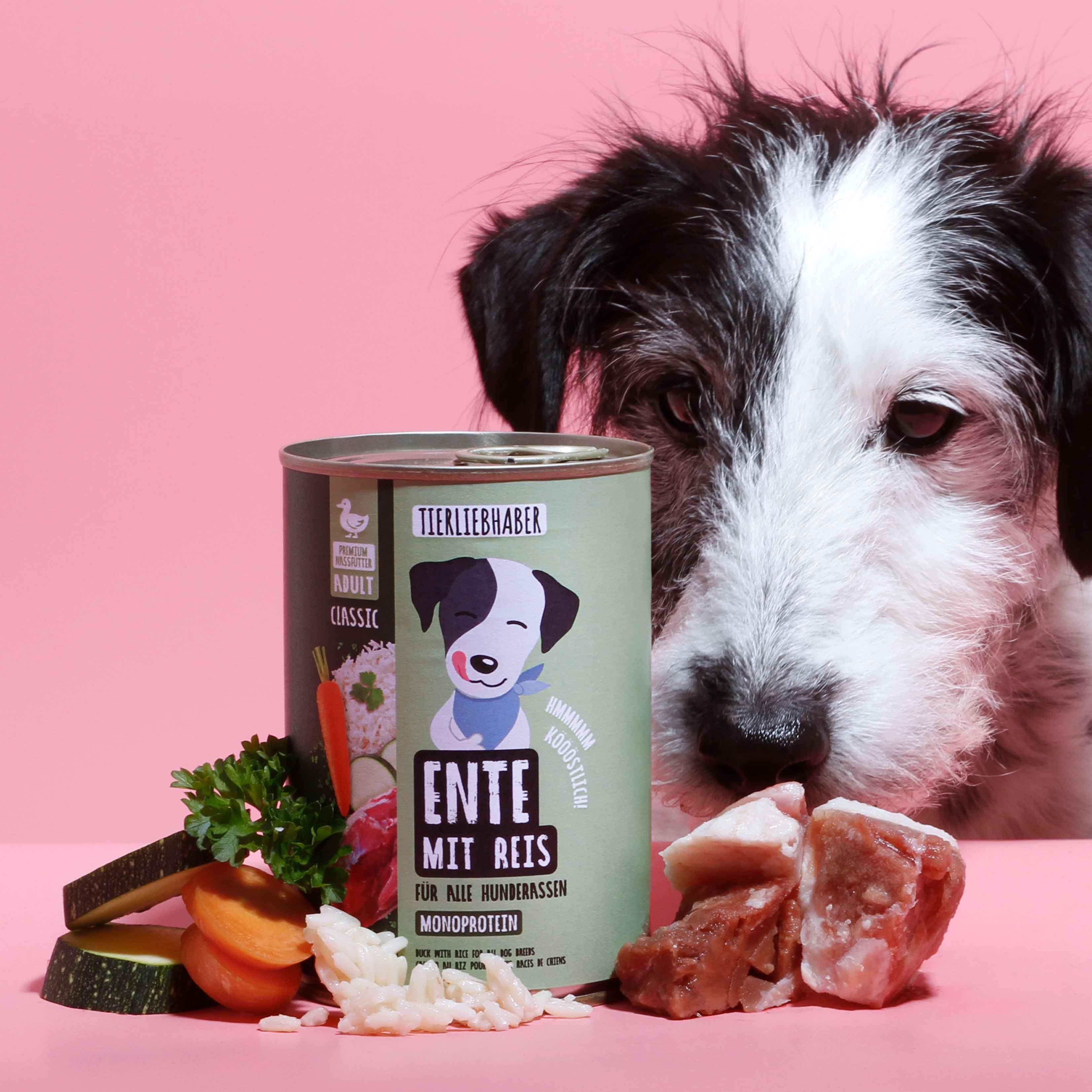 Hundefutterdose mit Aufschrift "Ente mit Reis" und Hund. Daneben Gemüse, Reis und Fleischstücke. Hund im Hintergrund.