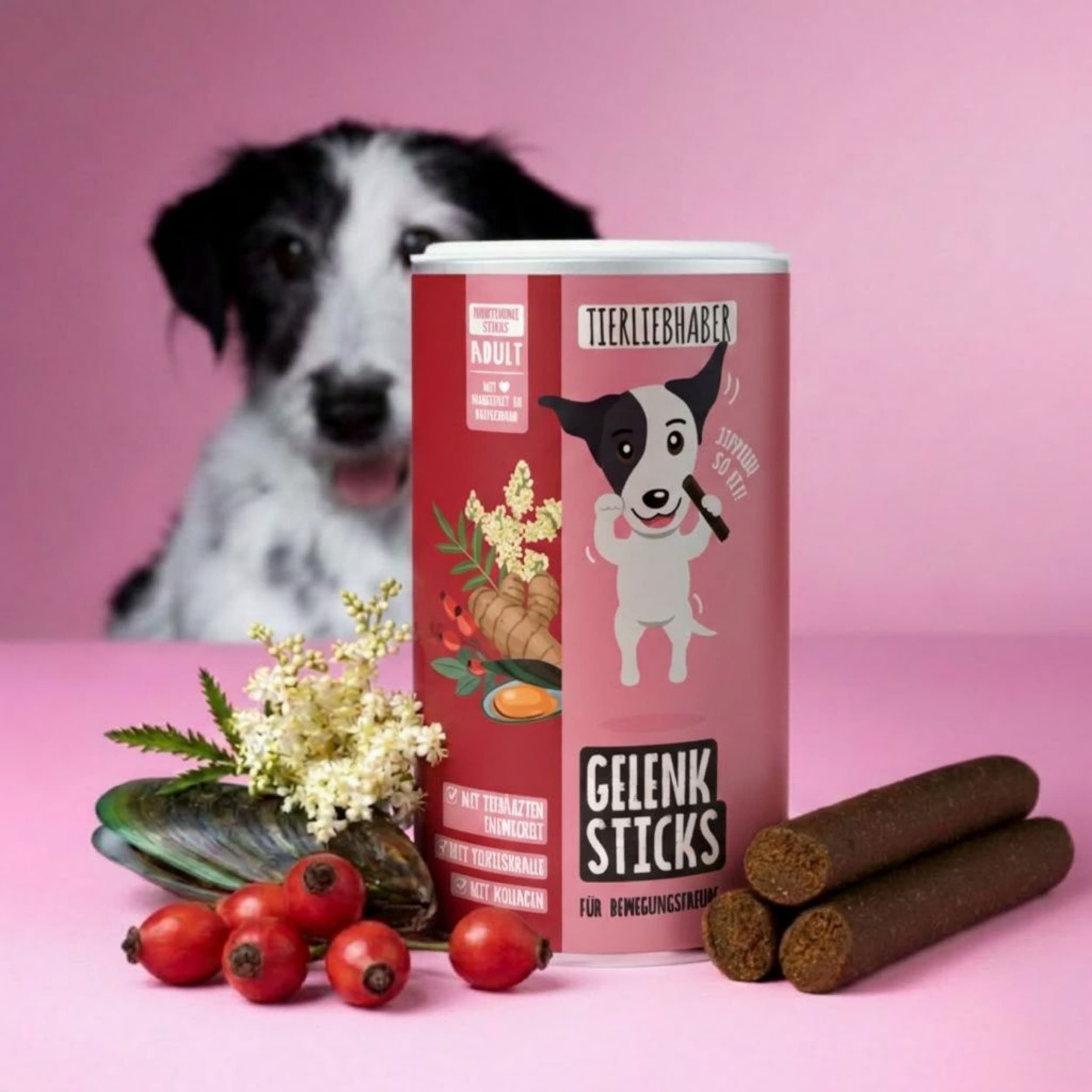 Dose Tierliebhaber Gelenk Sticks, daneben drei Sticks, Hagebutten und Muschel.