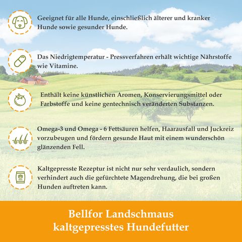 Bellfor Kaltgepresst Trockenfutter für Hunde mit Lachs und Forelle Getreidefrei - Forstbach-Schmaus