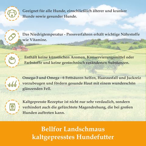 Bellfor Kaltgepresst Trockenfutter für Welpen und Junge Hunde mit Huhn - Wiesen-Schmaus Junior