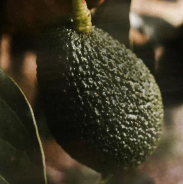 Zero Skin Intensives SOS Treatment, mit Keratin reparierend und nährend