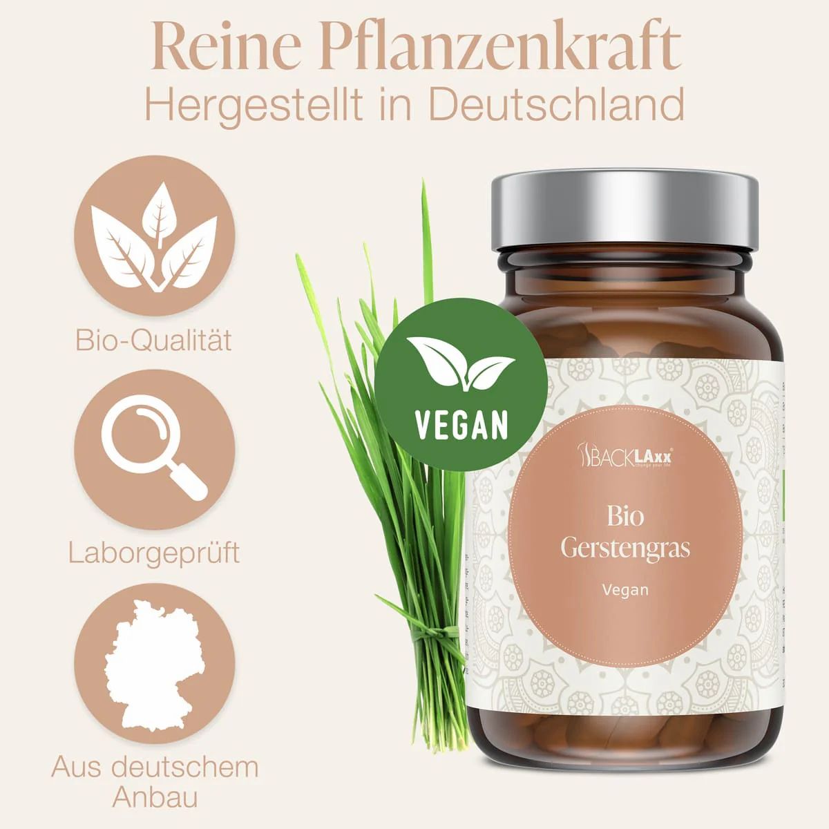 Bio Gerstengras Kapseln - 1500 mg pro Tagesdosis, 300 Kapseln, vegan - BACKLAxx®