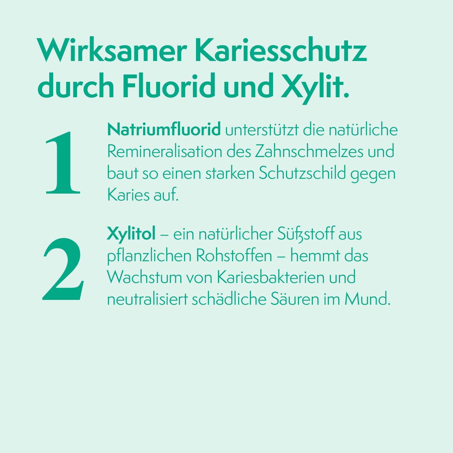 Text: Wirksamer Kariesschutz durch Fluorid und Xylit. Informationen zu Natriumfluorid und Xylit.