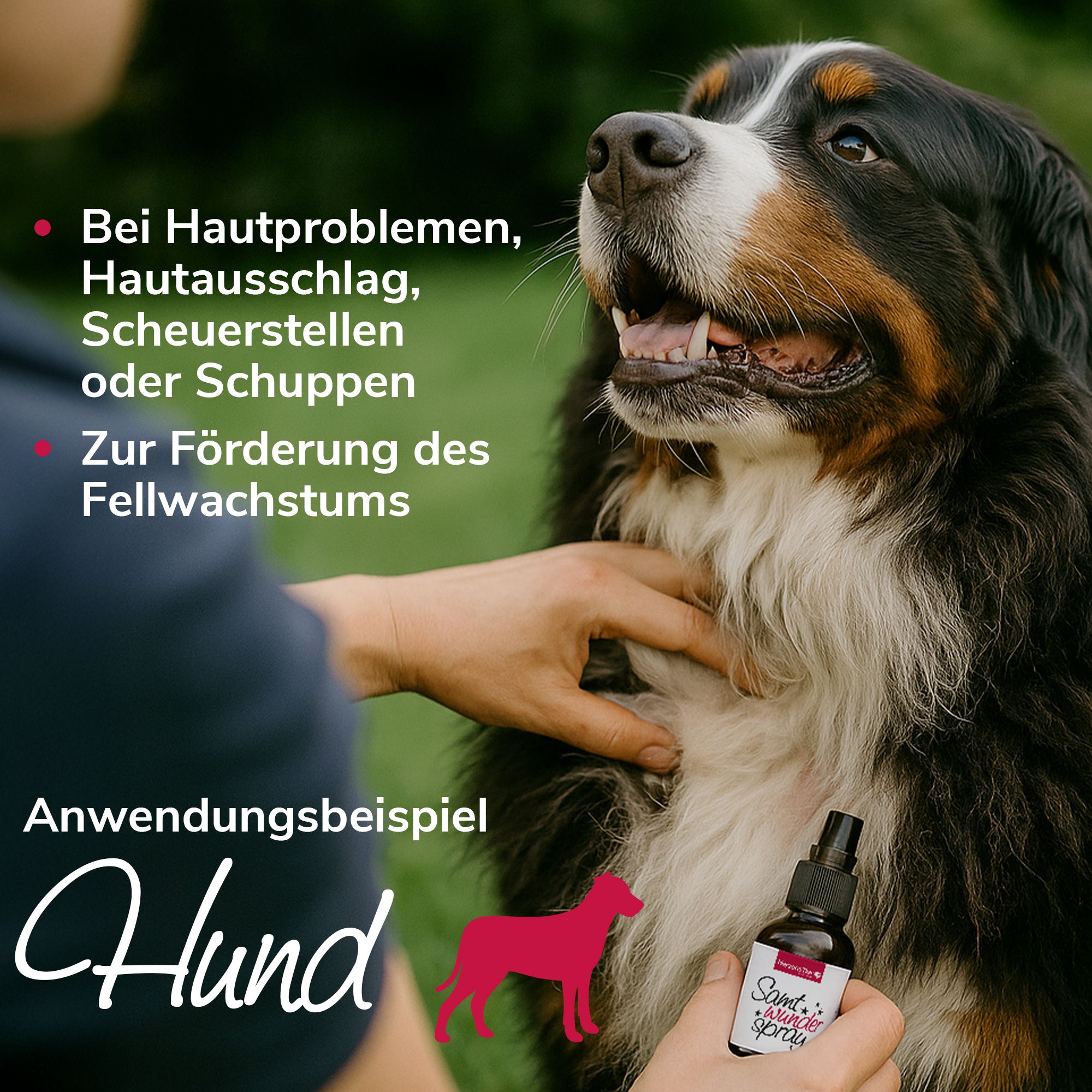Hund wird am Bauch gestreichelt. Flasche mit Produktetikett wird gehalten. Text: Anwendung Hund.