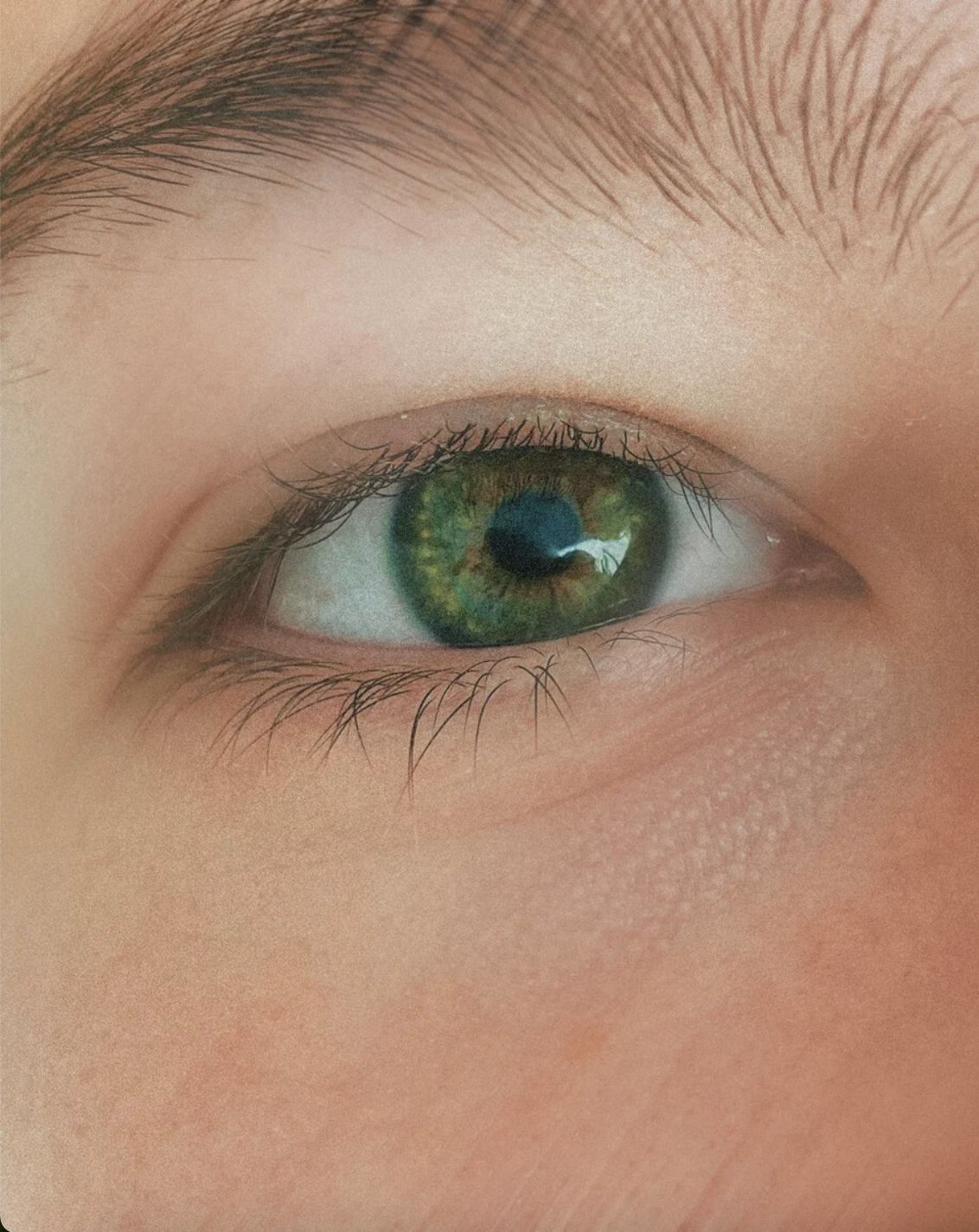 Nahaufnahme eines grünen Auges mit Wimpern und Augenbrauen. Die Iris ist grün mit einem dunklen Pupillenring.