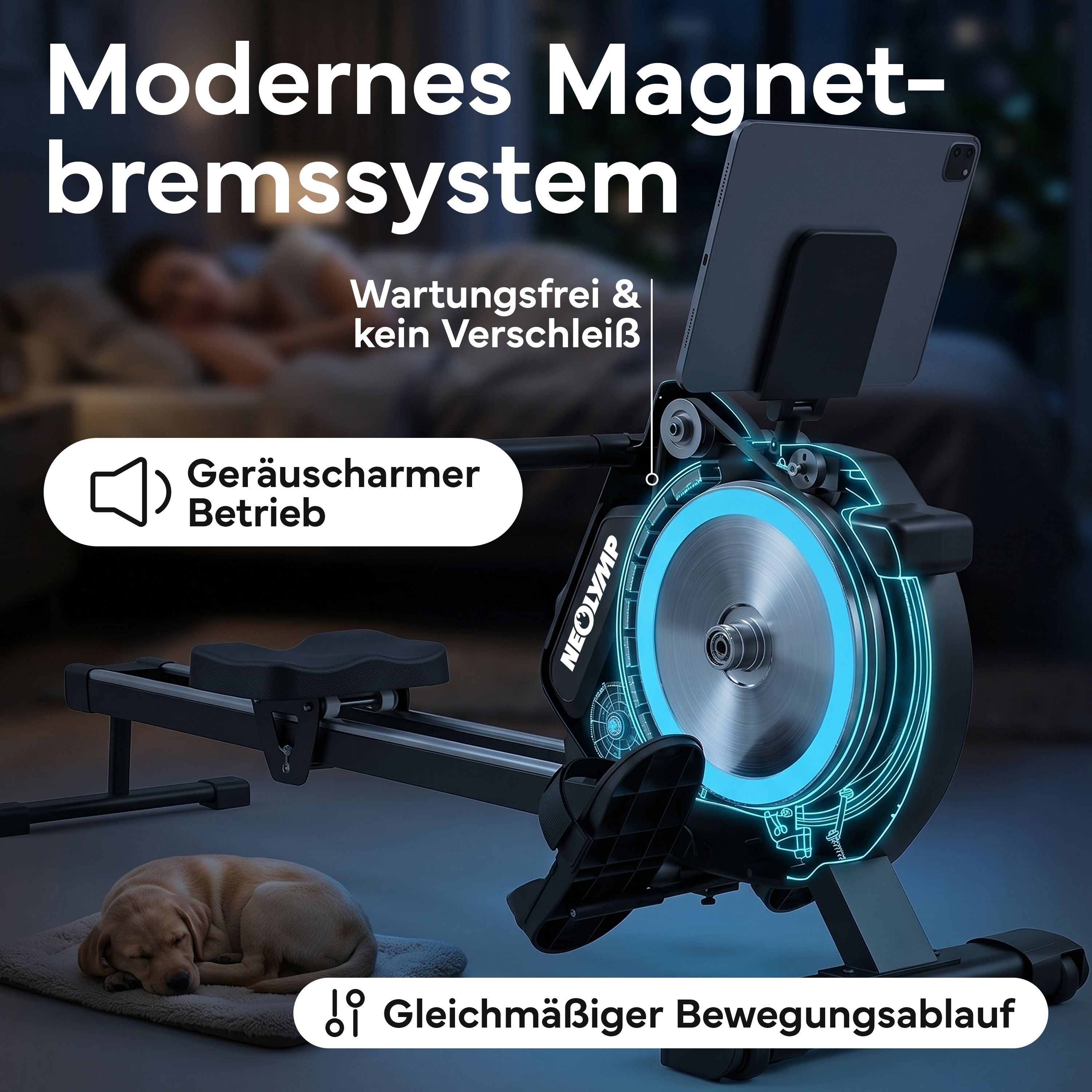 Rudergerät mit Magnetbremse