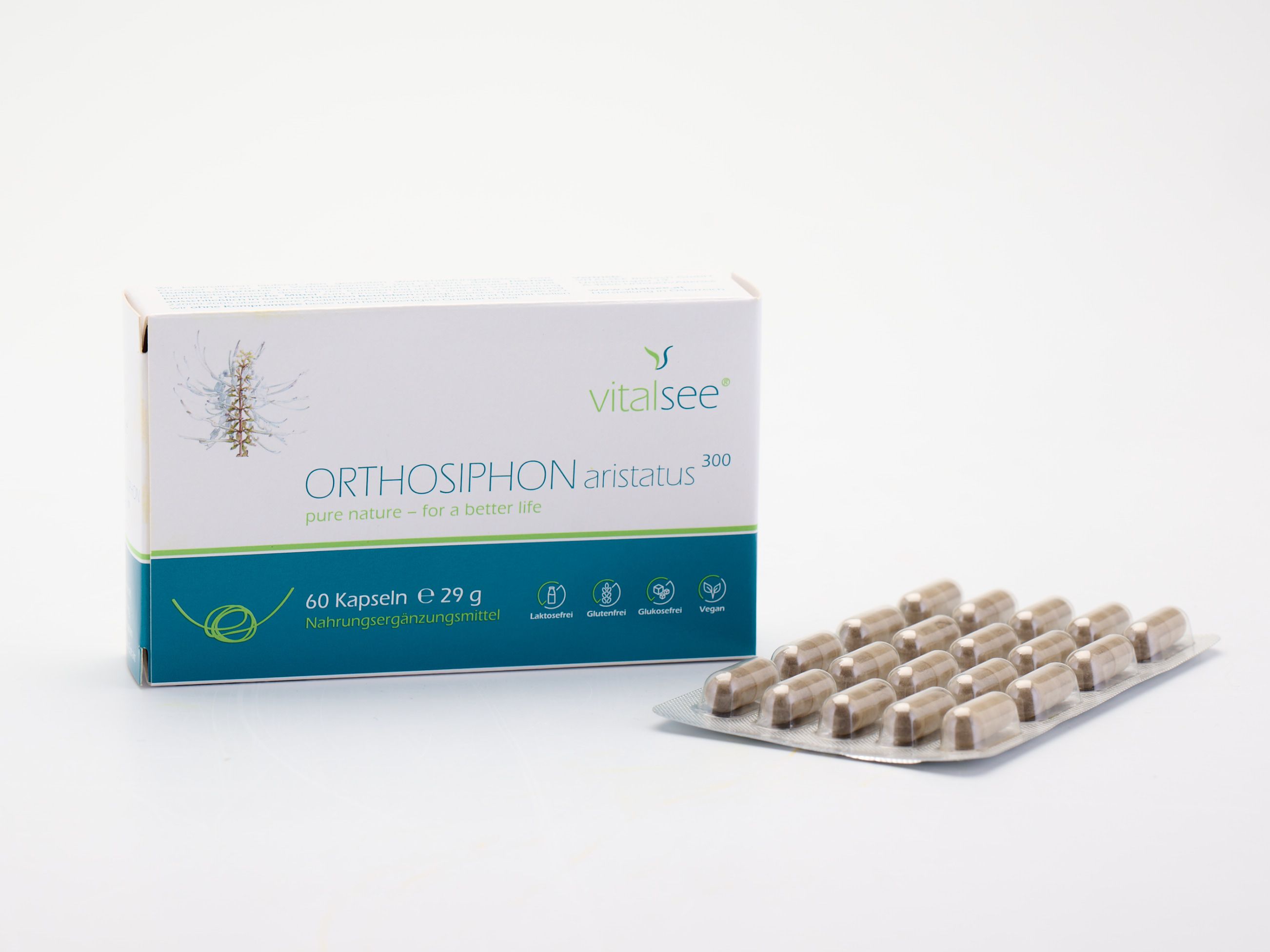 Vitalsee ORTHOSIPHON aristatus 300 Extrakt