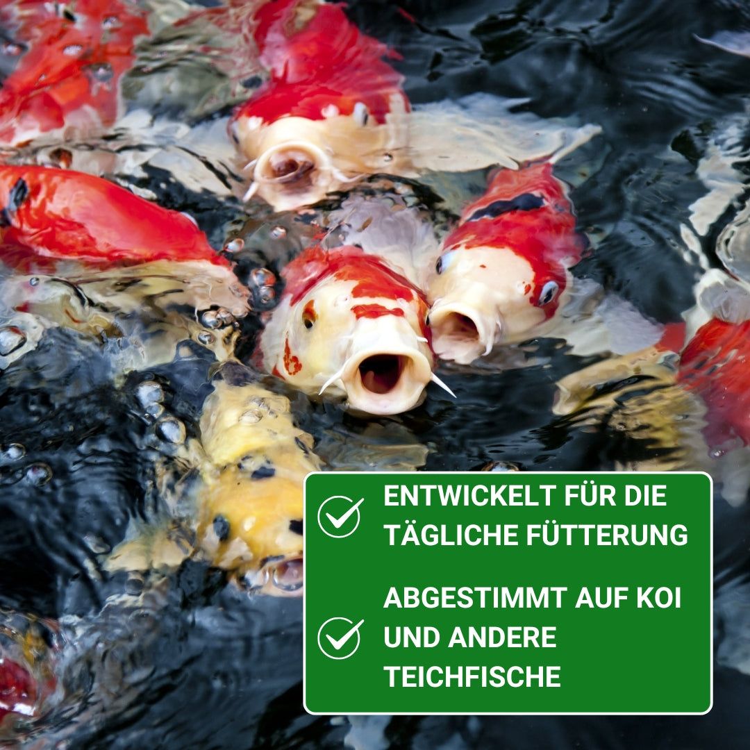 KENKOU Spezial mit Spirulina