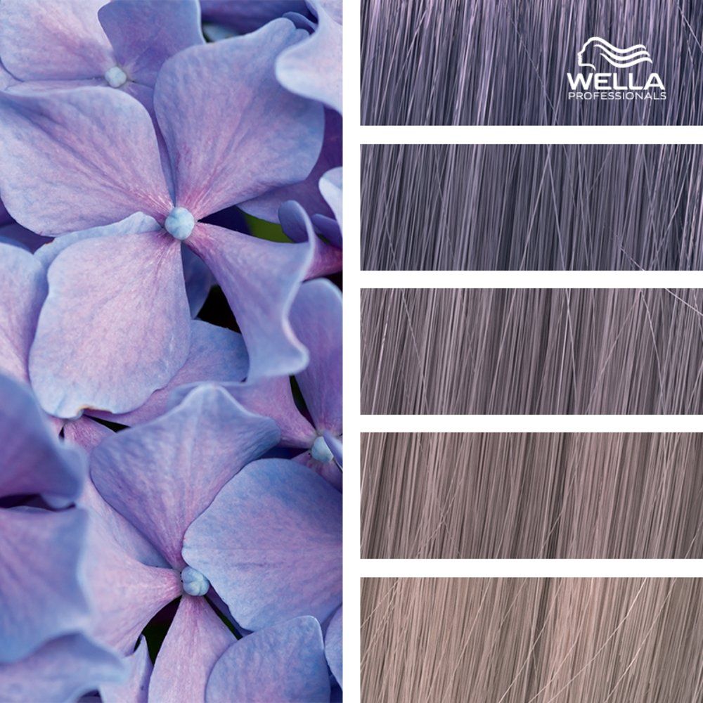 Wella - Color
