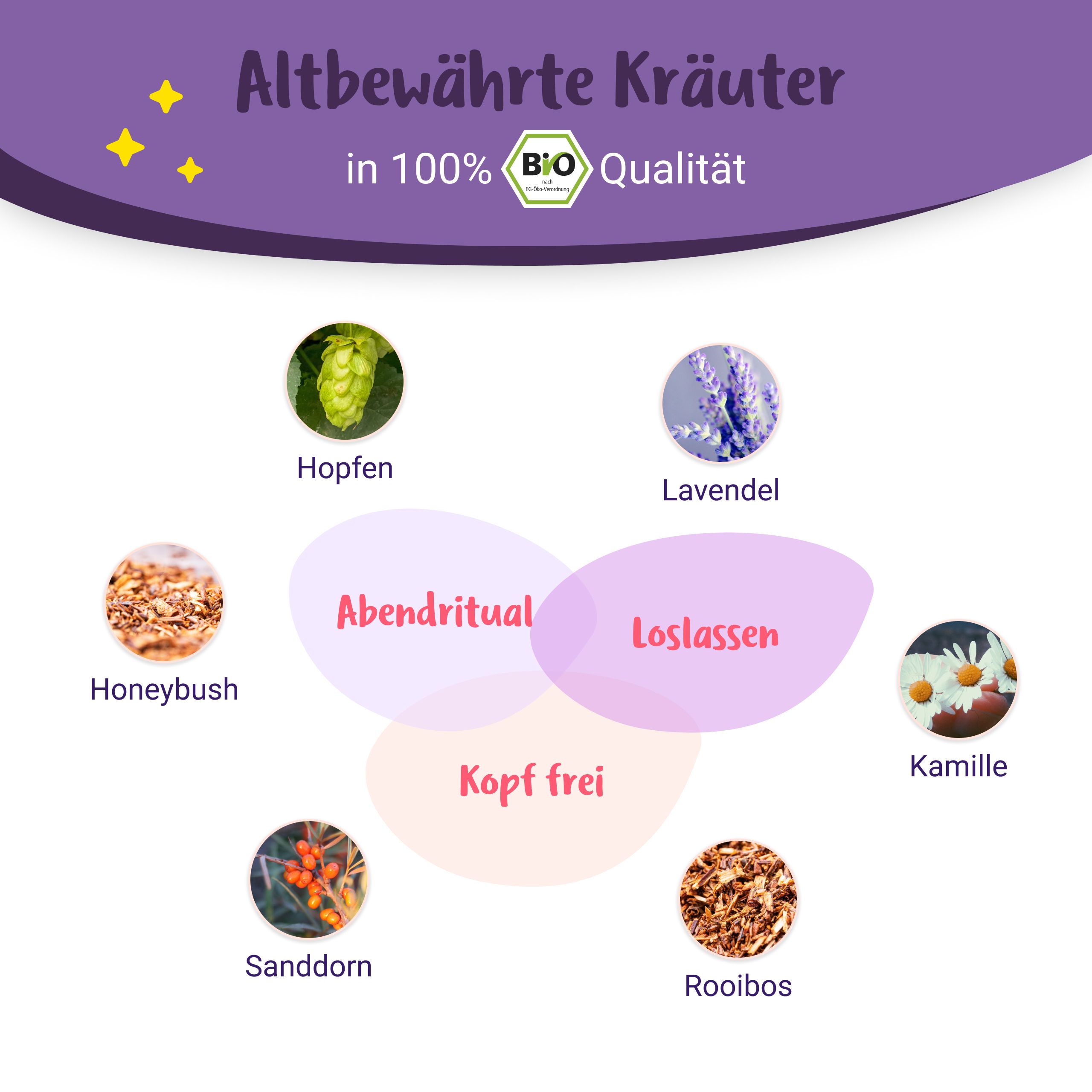 Grafik mit Kräutern: Hopfen, Lavendel, Honeybush, Sanddorn, Kamille, Rooibos. Text: Altbewährte Kräuter in Bio-Qualität.