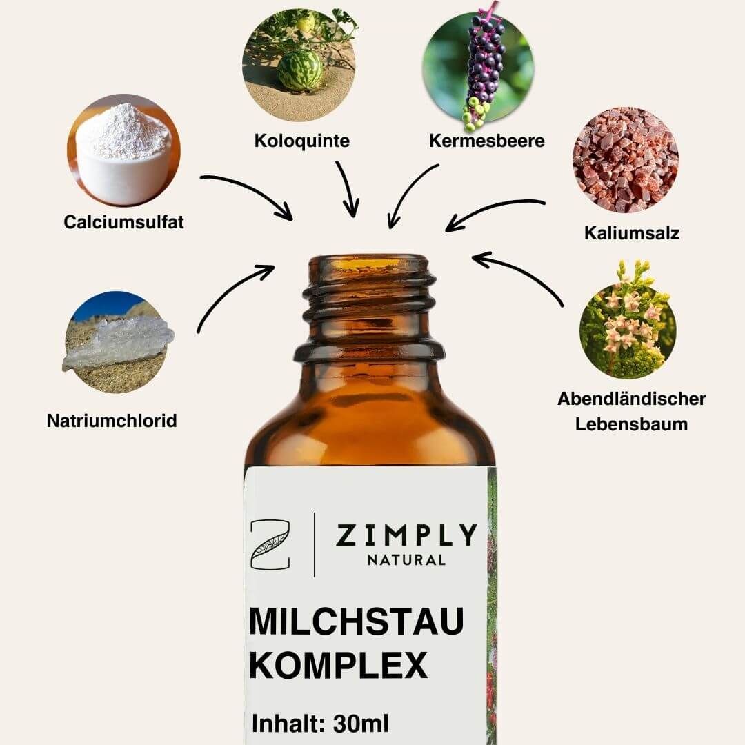 ZIMPLY NATURAL Milchstau Komplex Spray